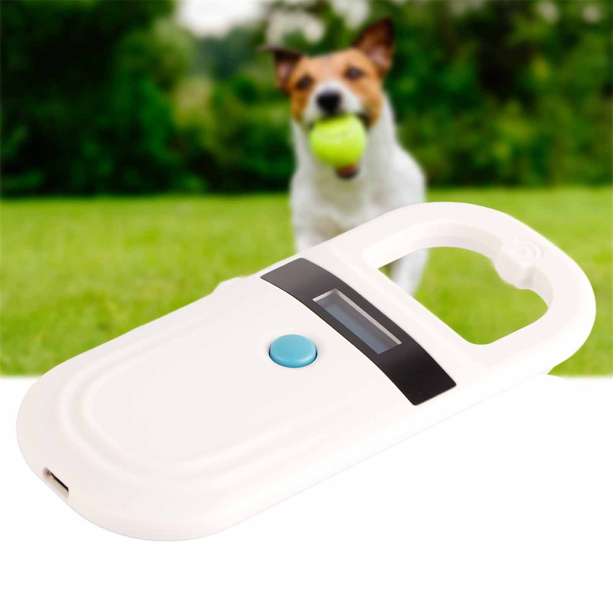 Weißer Haustier-Tracker mit einem Knopf, vor einem Hund mit einem Ball im Maul. Der Hintergrund ist grün.