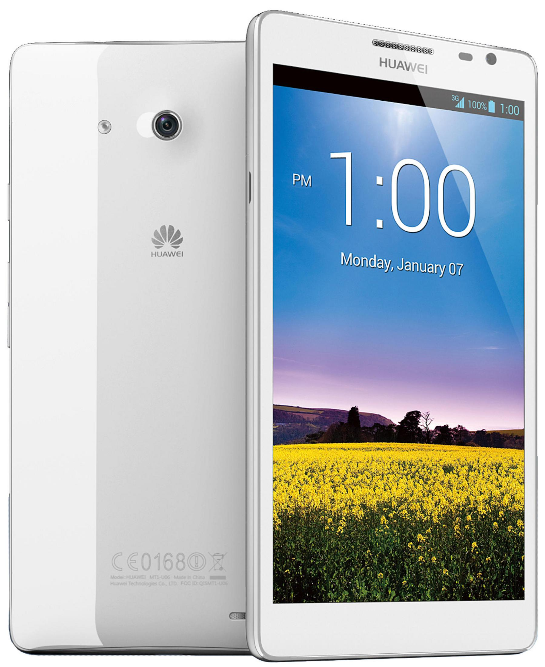 Weißes Smartphone mit Dual-Kamera-Rückseite und Bildschirm, der Zeit und Landschaft mit Blumen zeigt.
