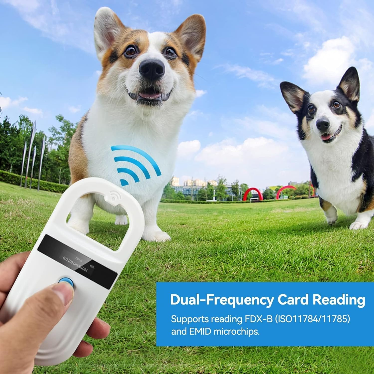 Zwei Hunde und ein Haustier-Mikrochip-Scanner auf einer grünen Wiese mit blauem Himmel.