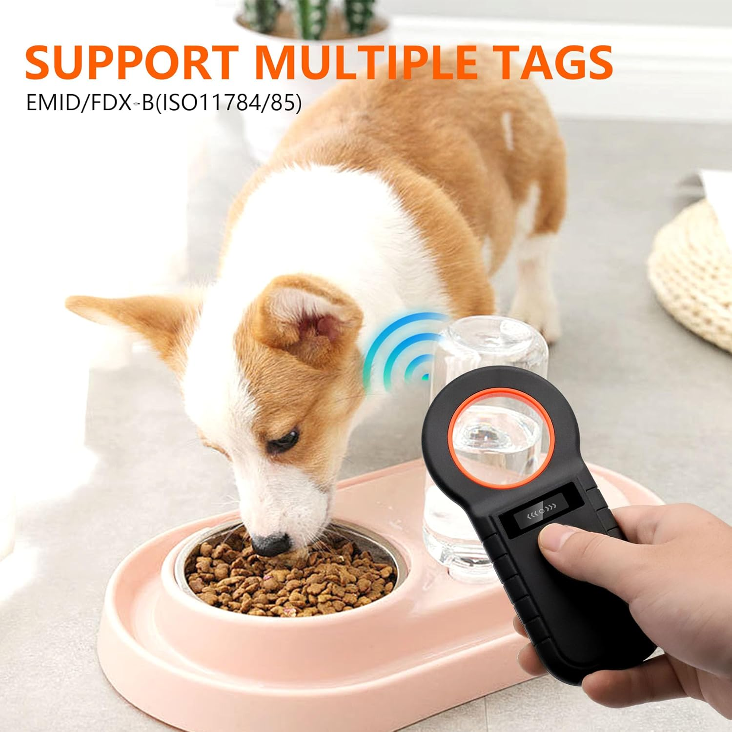 Haustier-Mikrochip-Lesegerät scannt einen Hund, der frisst.