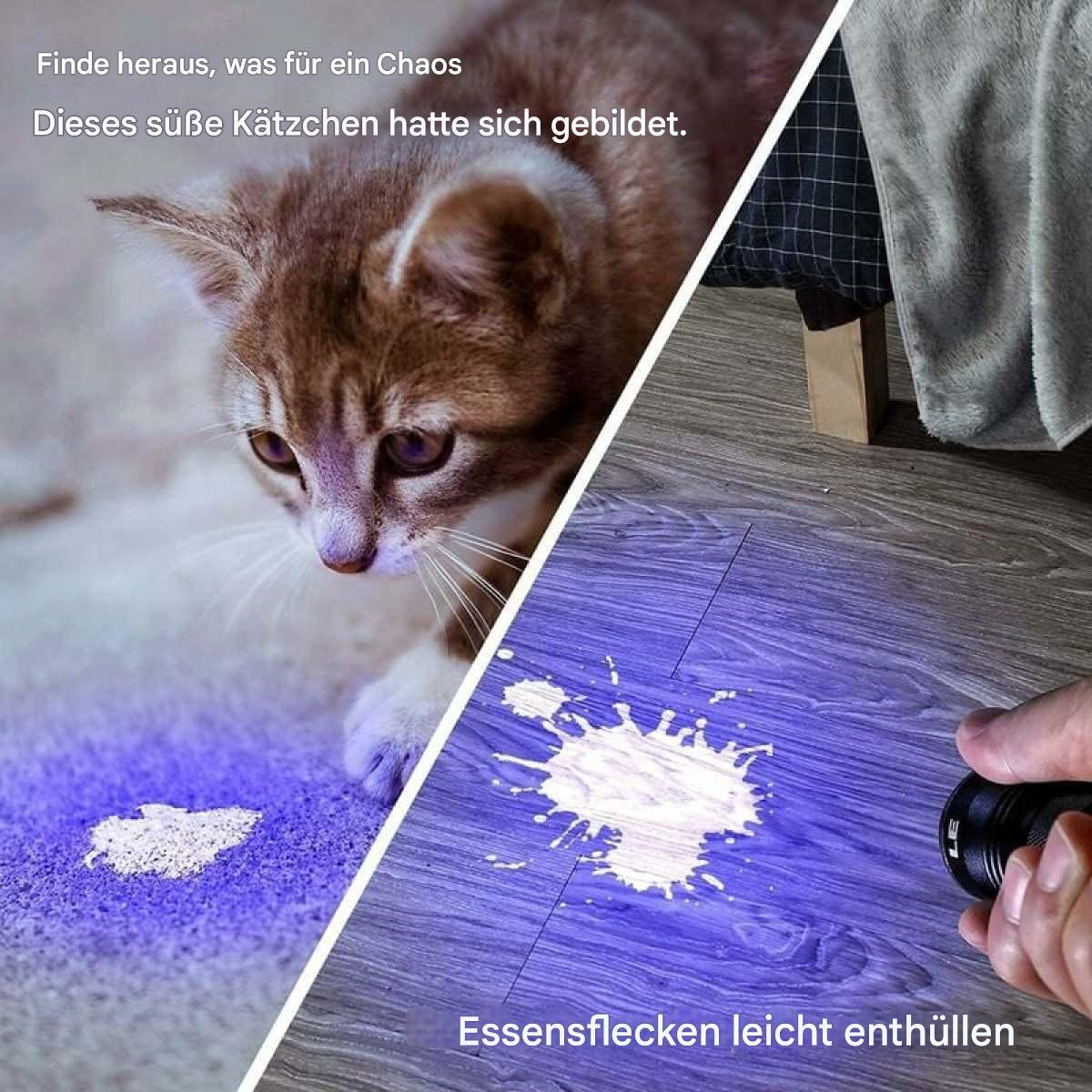 Eine Katze schaut auf einen Fleck mit Licht, und eine Hand mit einer schwarzen Taschenlampe auf Holzboden.