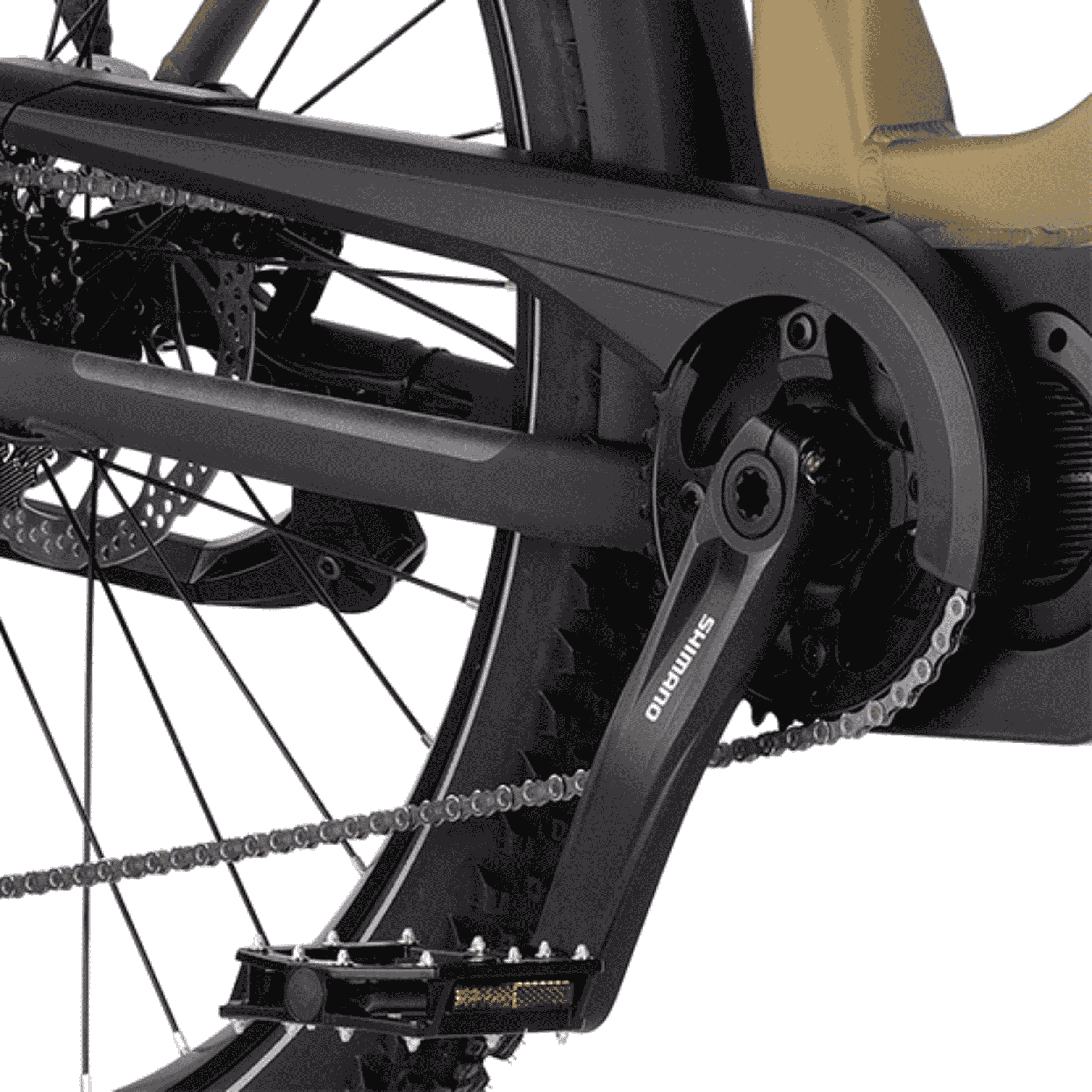 Die Kette und Pedale eines Mountainbikes sind sichtbar.