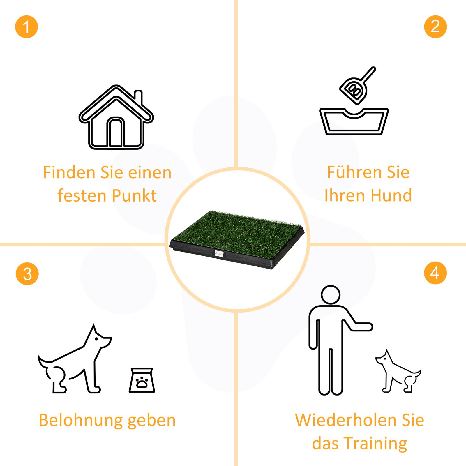 Anweisungen zum Hundetraining: Ort, führen, belohnen, wiederholen.