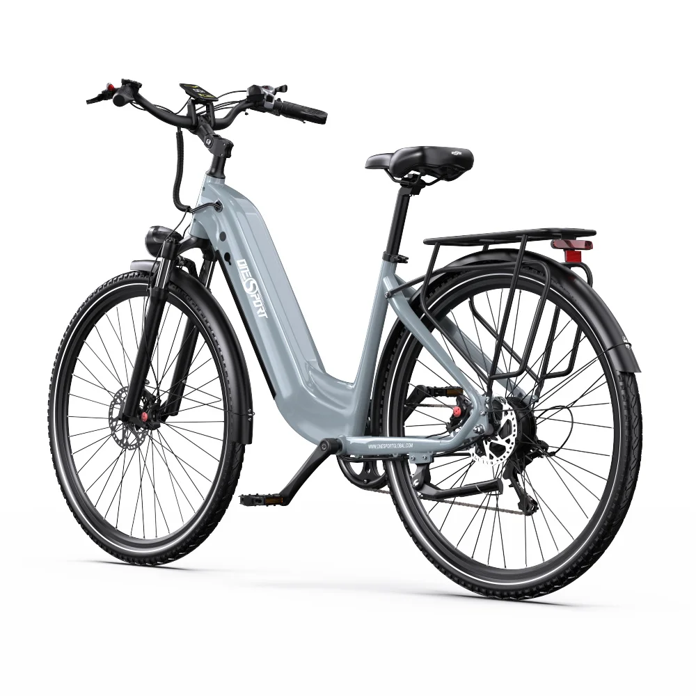 Graues Elektrofahrrad mit schwarzen Reifen, einem schwarzen Gepäckträger und einem Licht. Das Fahrrad steht vor weißem Hintergrund.