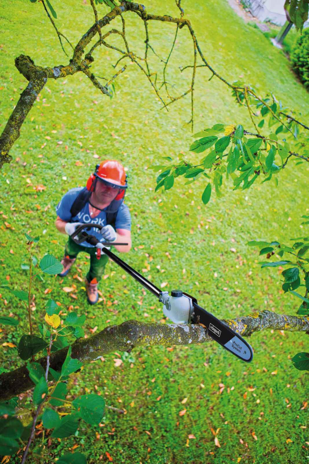 Een man in veiligheidskleding gebruikt een stokzaag om een boom te snoeien vanuit een hoge hoek.
