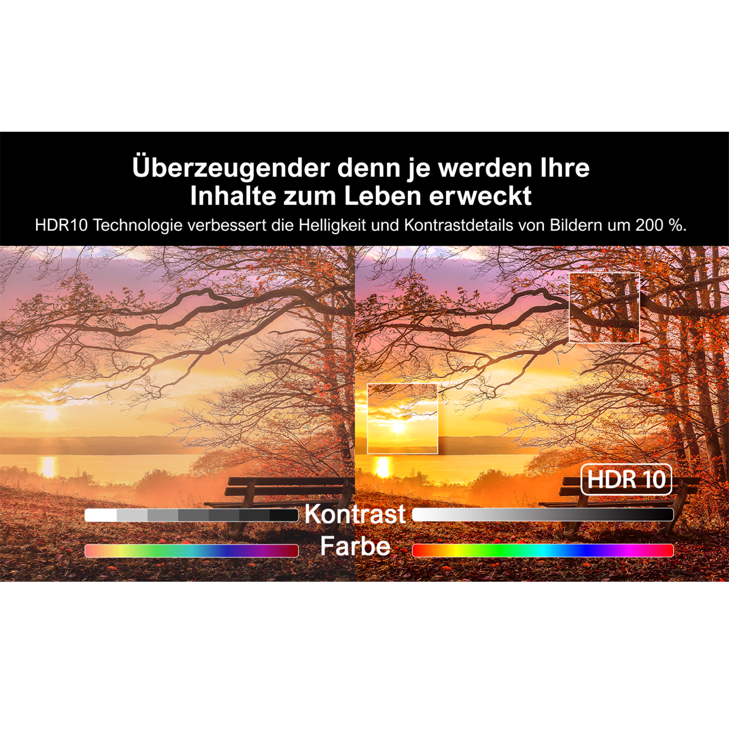 Sonnenuntergang mit Bäumen und einer Bank. Der Bildschirm zeigt einen Farb- und Kontrastvergleich.