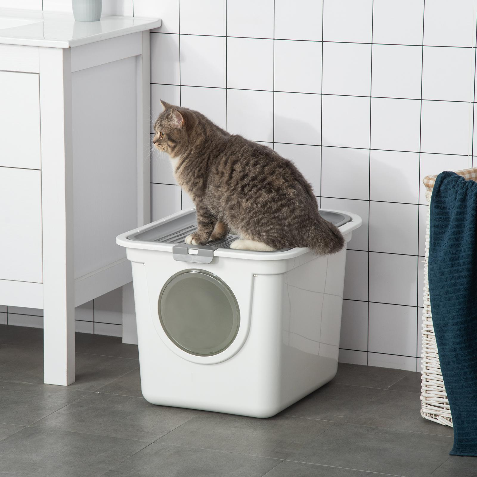 Eine graue Tabbykatze sitzt auf einer weißen Katzentoilette. Der Hintergrund ist eine geflieste Wand.