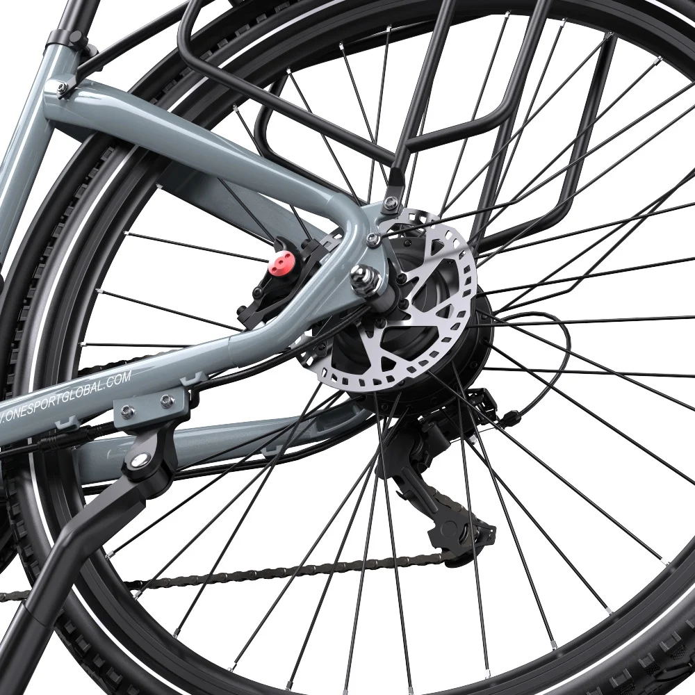 Ruota posteriore di una bicicletta grigia, con freni a disco, raggi neri e portapacchi. Sfondo bianco.