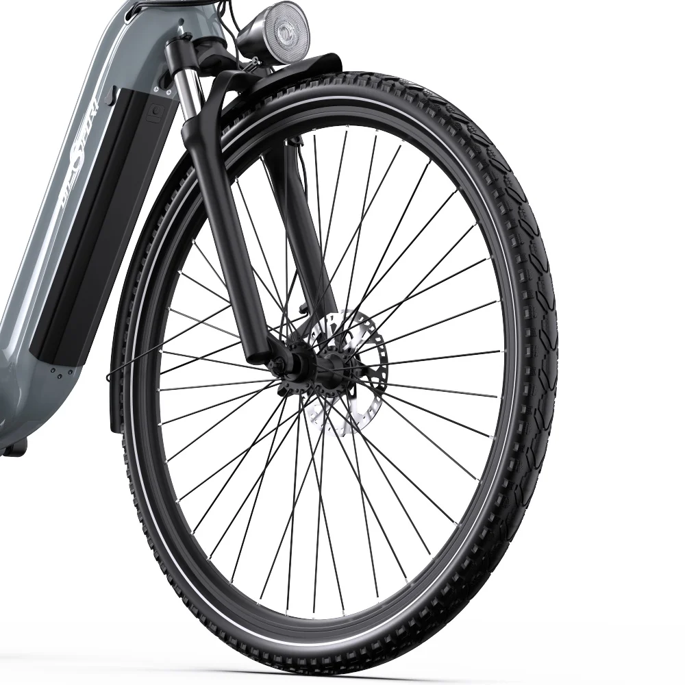 Primo piano di una ruota di e-bike grigia. Pneumatico nero con freno a disco, raggi argentati e parafango anteriore.