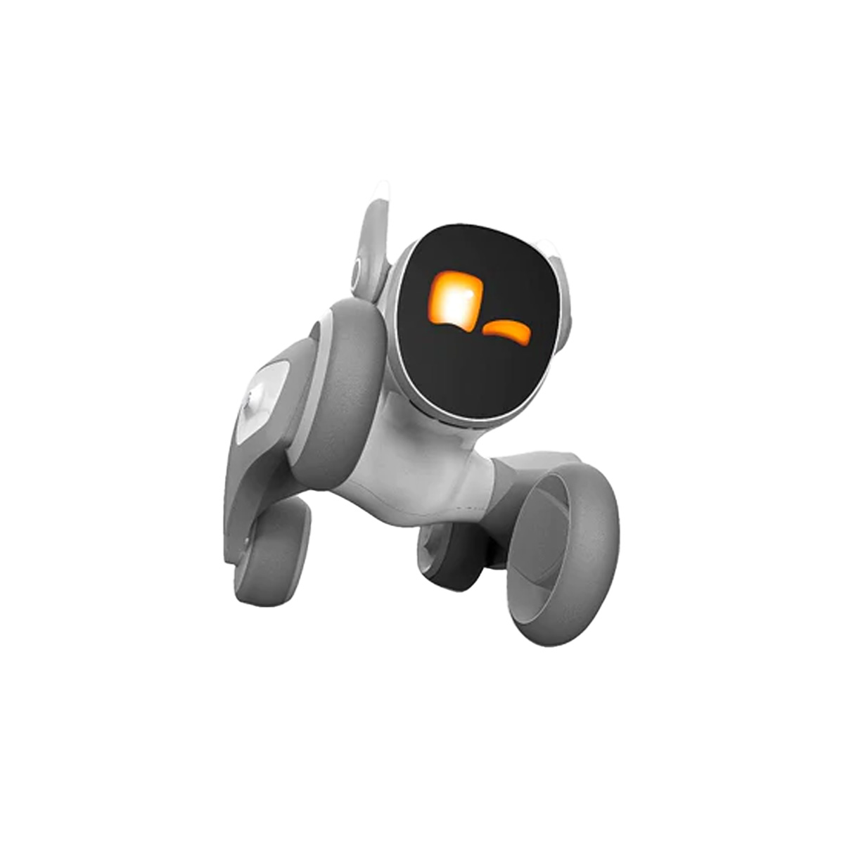 Tekerlekleri, ekranı ve sevimli bir tasarımı olan küçük bir robot. Robot gri ve beyazdır.