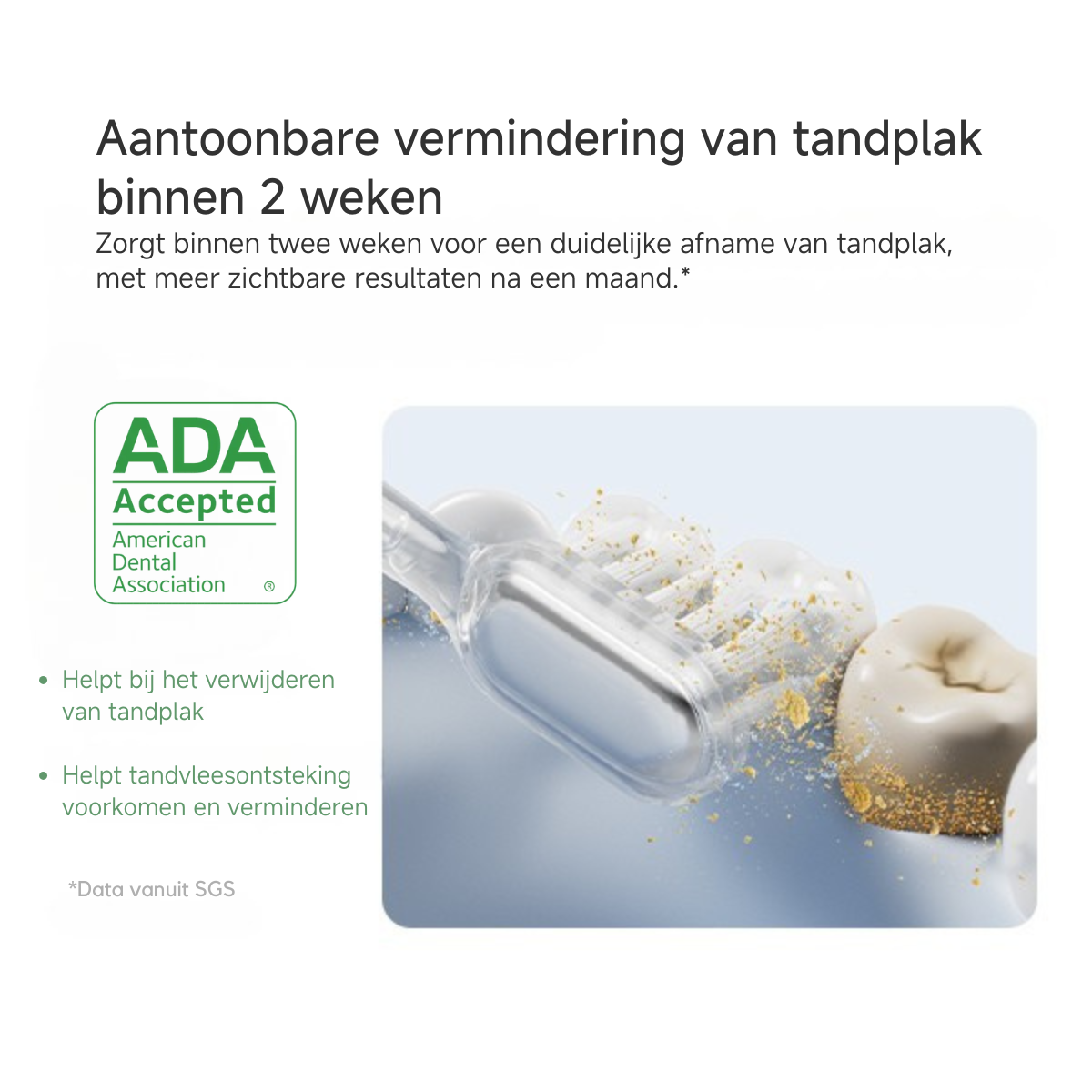 Zęby czyszczone szczoteczką. Logo ADA accepted po lewej stronie.