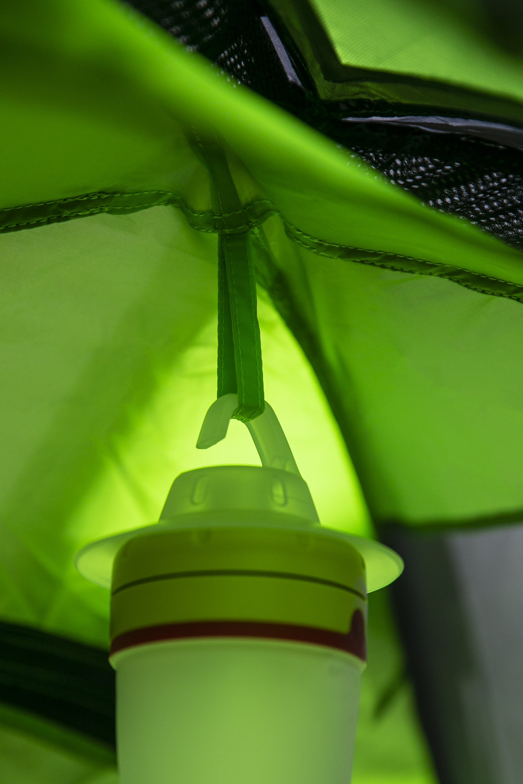 Interior de una tienda verde. Se ve una luz verde, y hay una linterna colgante.
