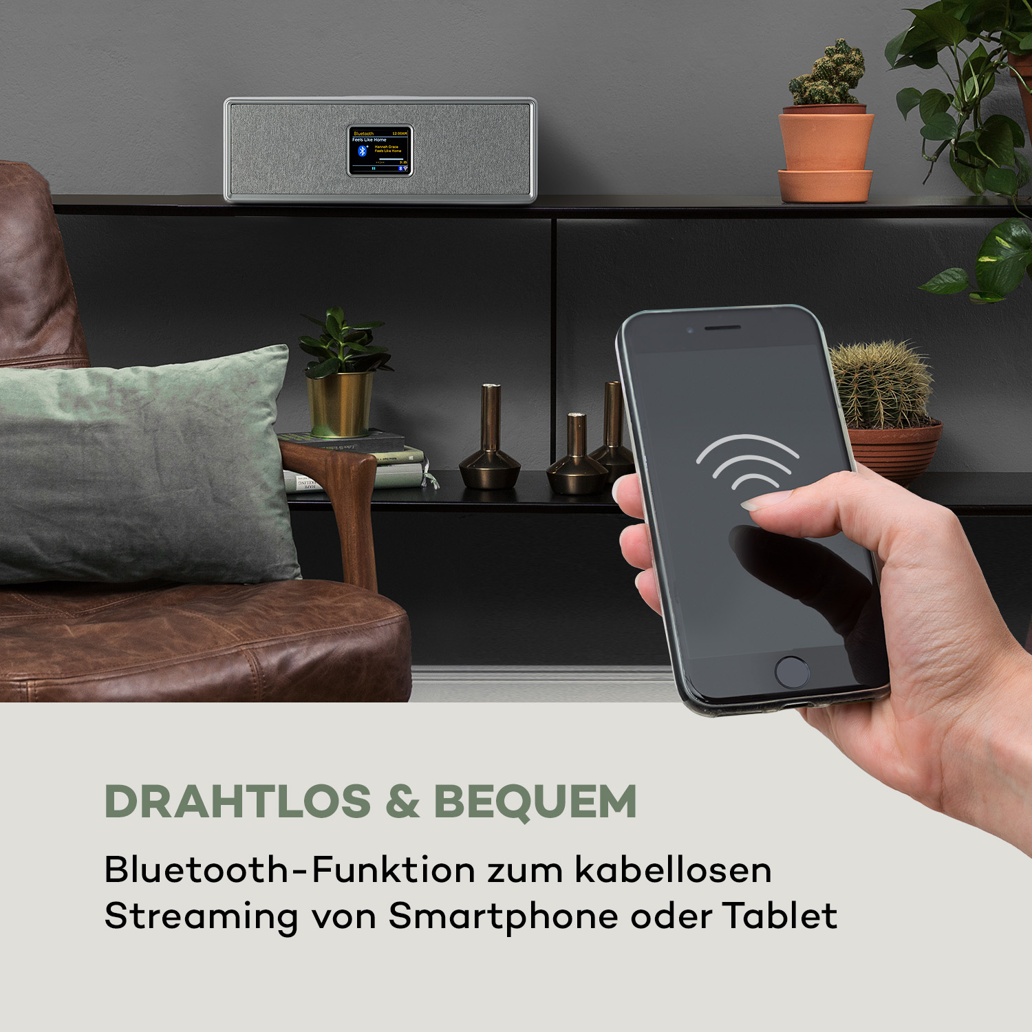 Ein schwarzes Radio auf einem Regal, ein Telefon mit WLAN und Pflanzen.