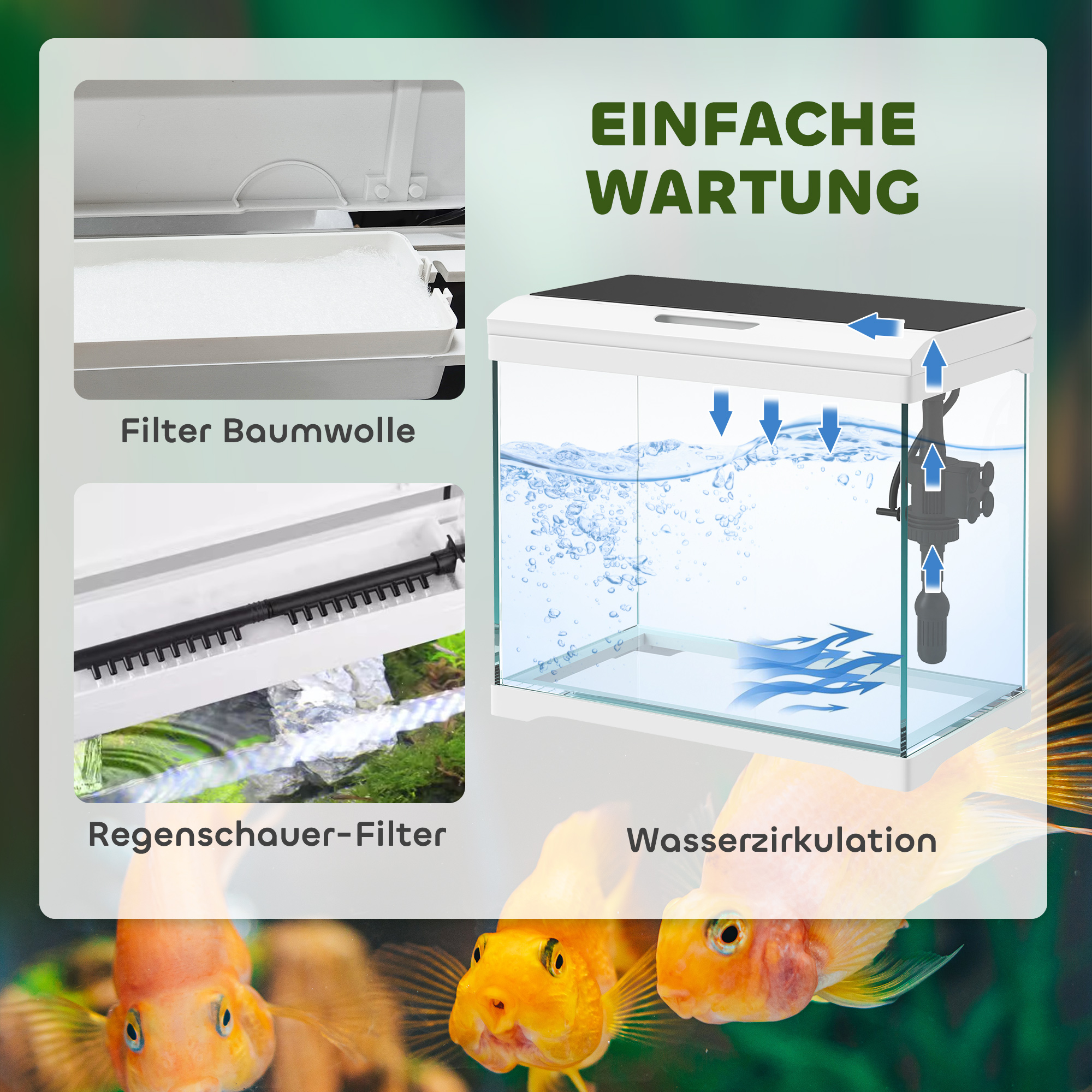 Ein Aquarium mit Fischen und Diagrammen des Filter- und Wasserkreislaufsystems für einfache Wartung.