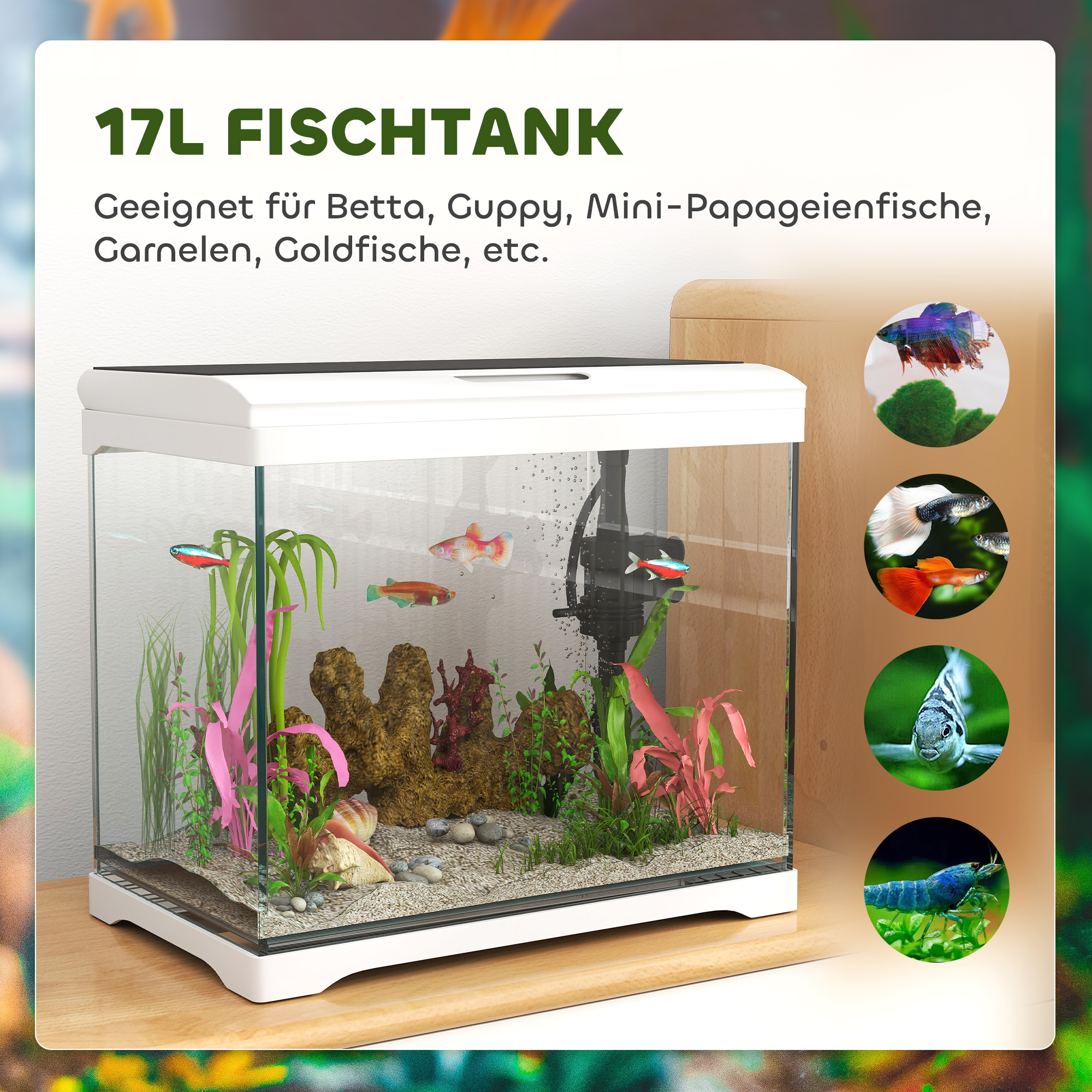 Ein 17L Aquarium mit Fischen und Bildern von Fischen, die darin gehalten werden können, wie Betta und Guppy.