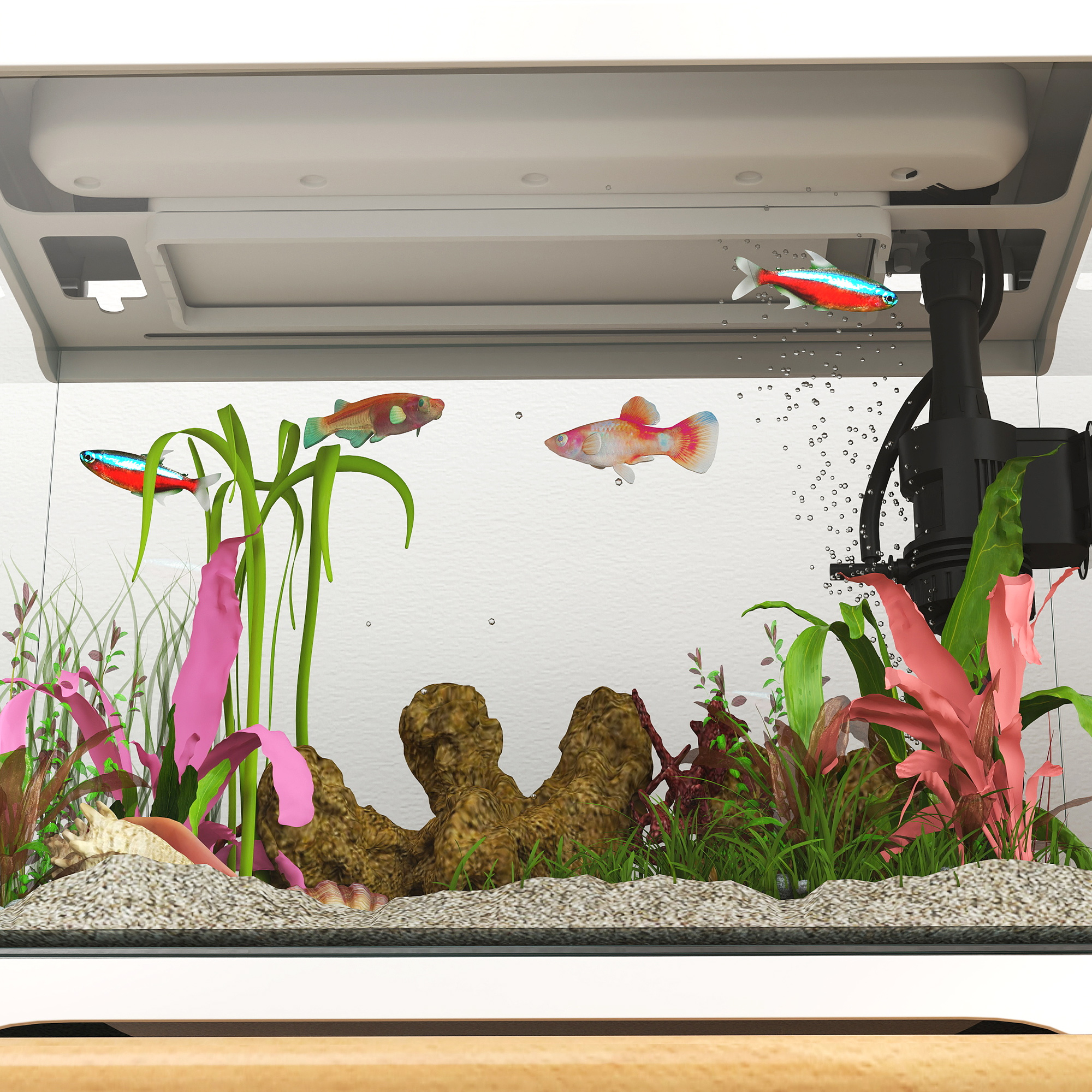 Aquarium mit bunten Fischen, Pflanzen und Dekorationen. Mit weißem Hintergrund und Licht, mit Holzsockel.