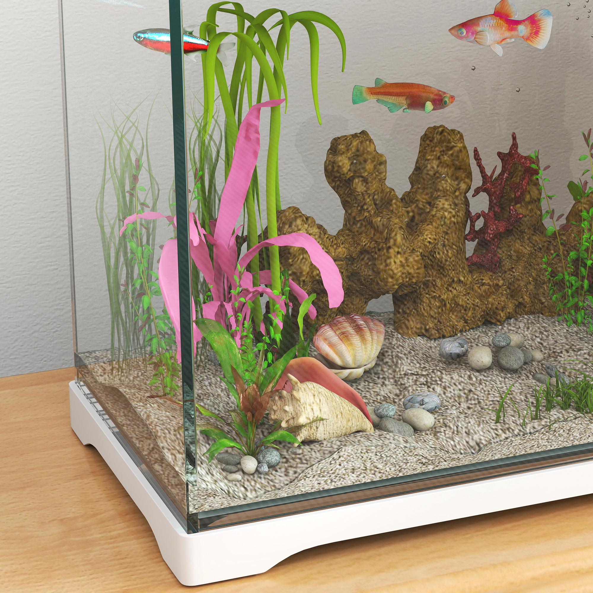 Aquarium mit Fischen, Pflanzen und Dekorationen. Hat einen weißen Sockel mit weißem Hintergrund und einem Holztisch.