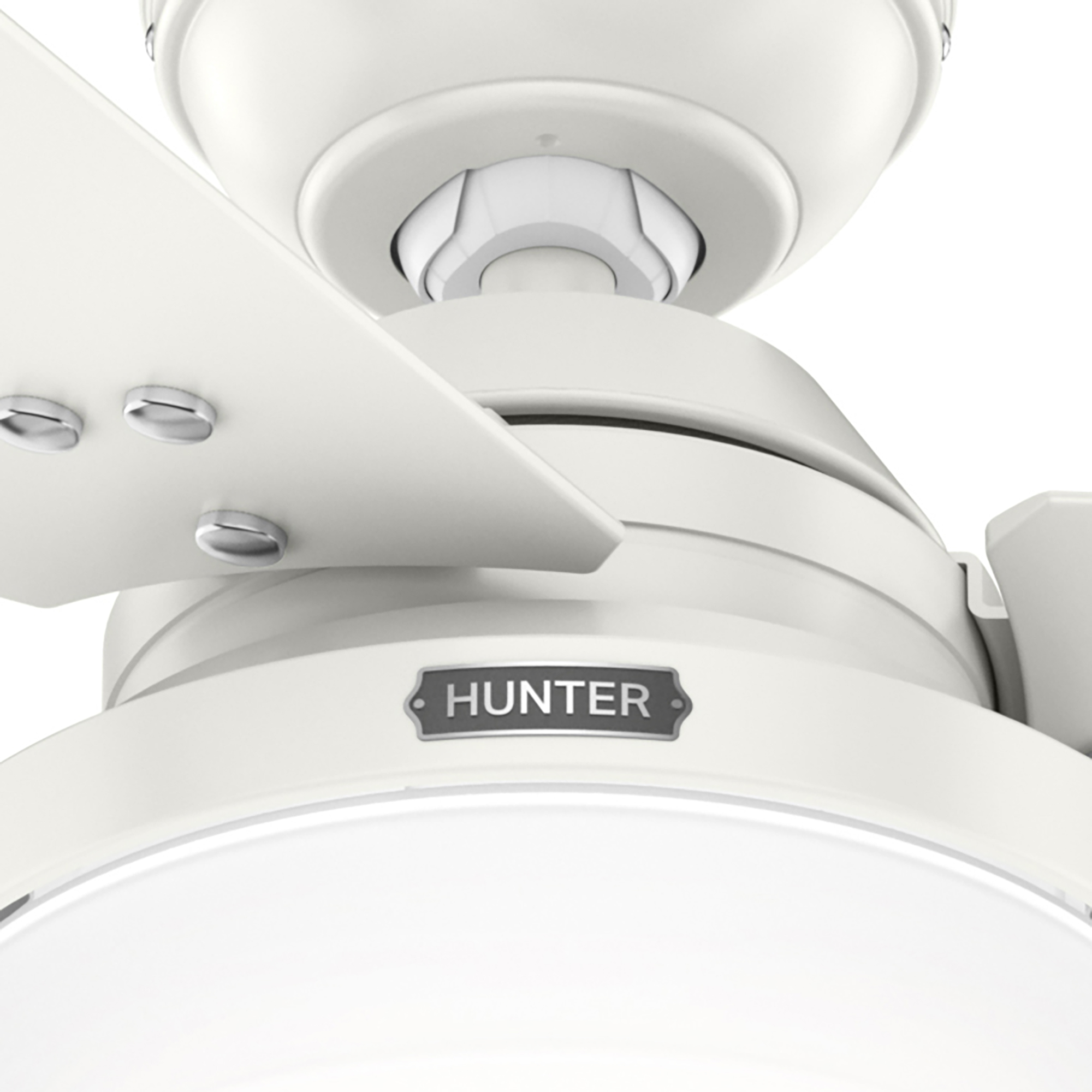 Nahaufnahme eines Deckenventilators mit weißen Flügeln und weißem Hintergrund. Das Wort HUNTER ist sichtbar.