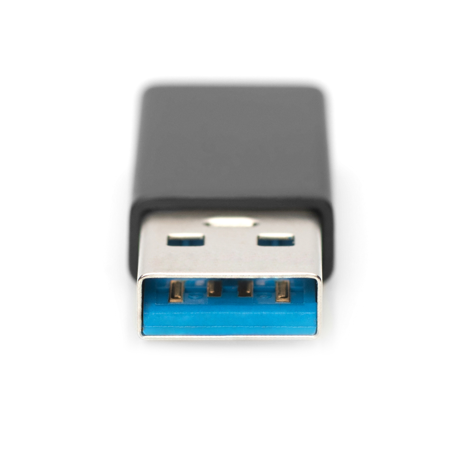 Connettore USB 3.0 nero con interno blu. Il connettore è su sfondo bianco.