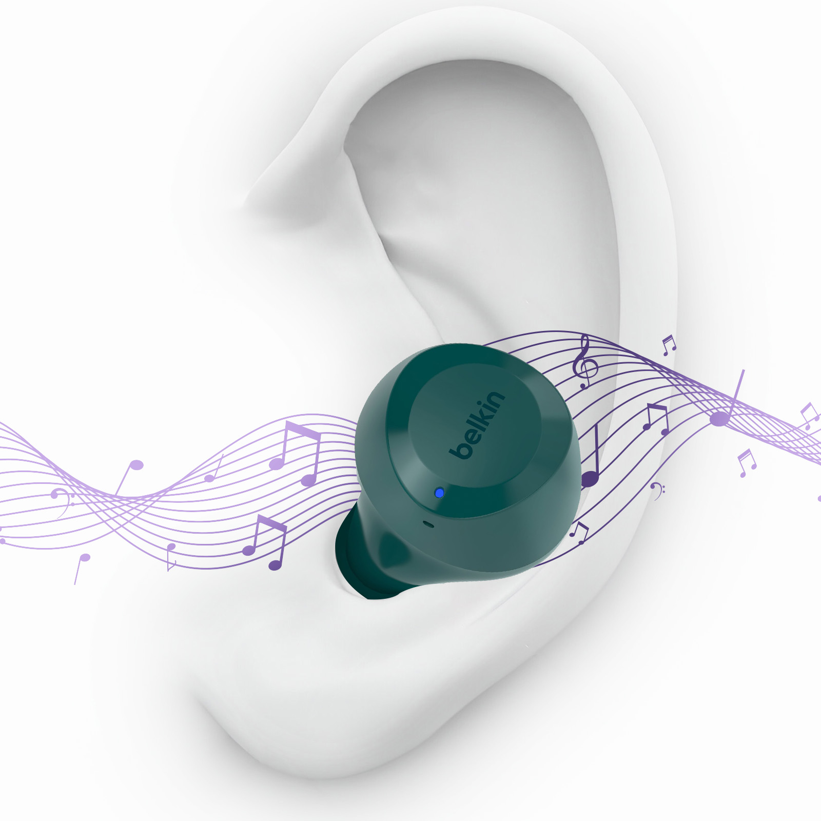 Ohr mit einem grünen Belkin-Ohrhörer. Musiknoten umgeben den Ohrhörer.