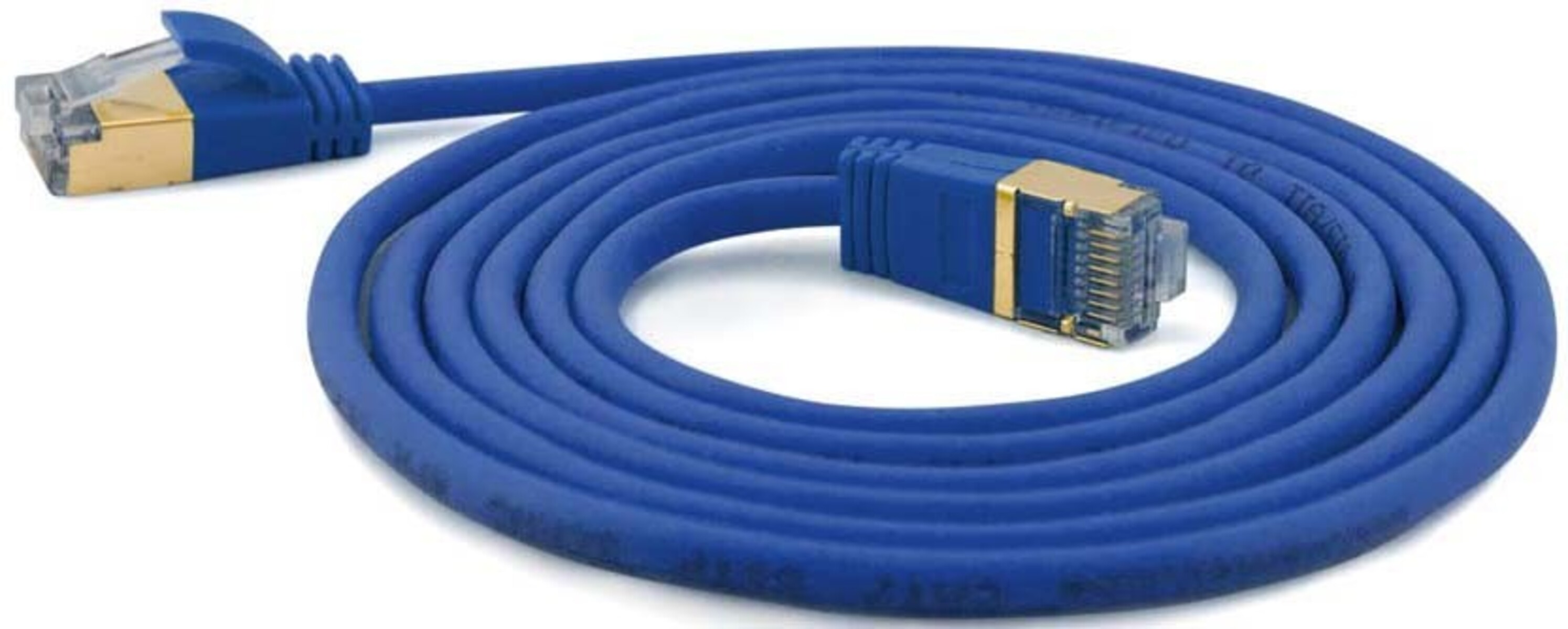 Cavo Ethernet blu arrotolato con due connettori. Sfondo bianco.