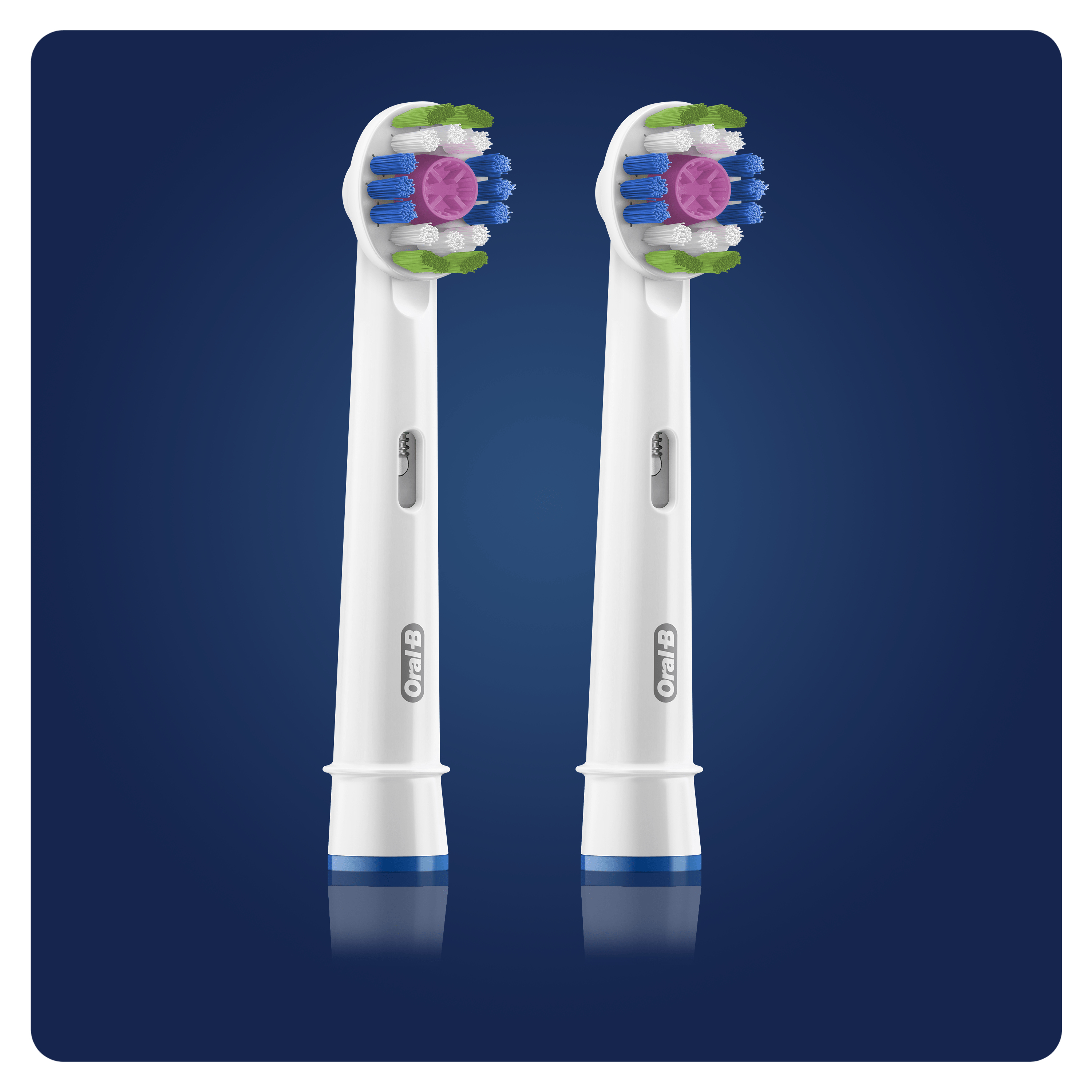 Due testine per spazzolino Oral-B. Bianche con setole colorate. Sfondo blu.
