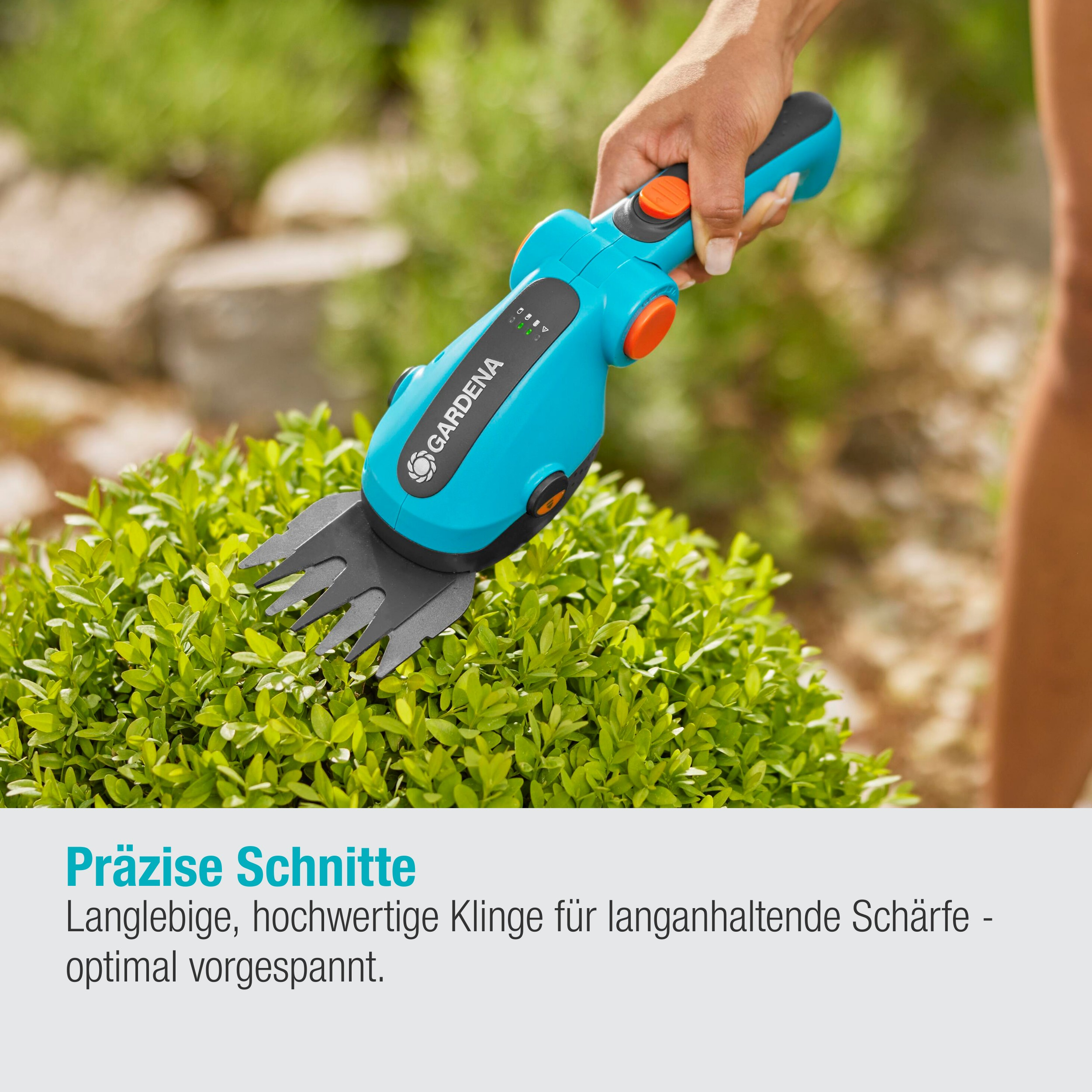 Osoba przycinająca zielony krzew nożycami do trawy GARDENA w kolorze niebiesko-zielonym i pomarańczowym.