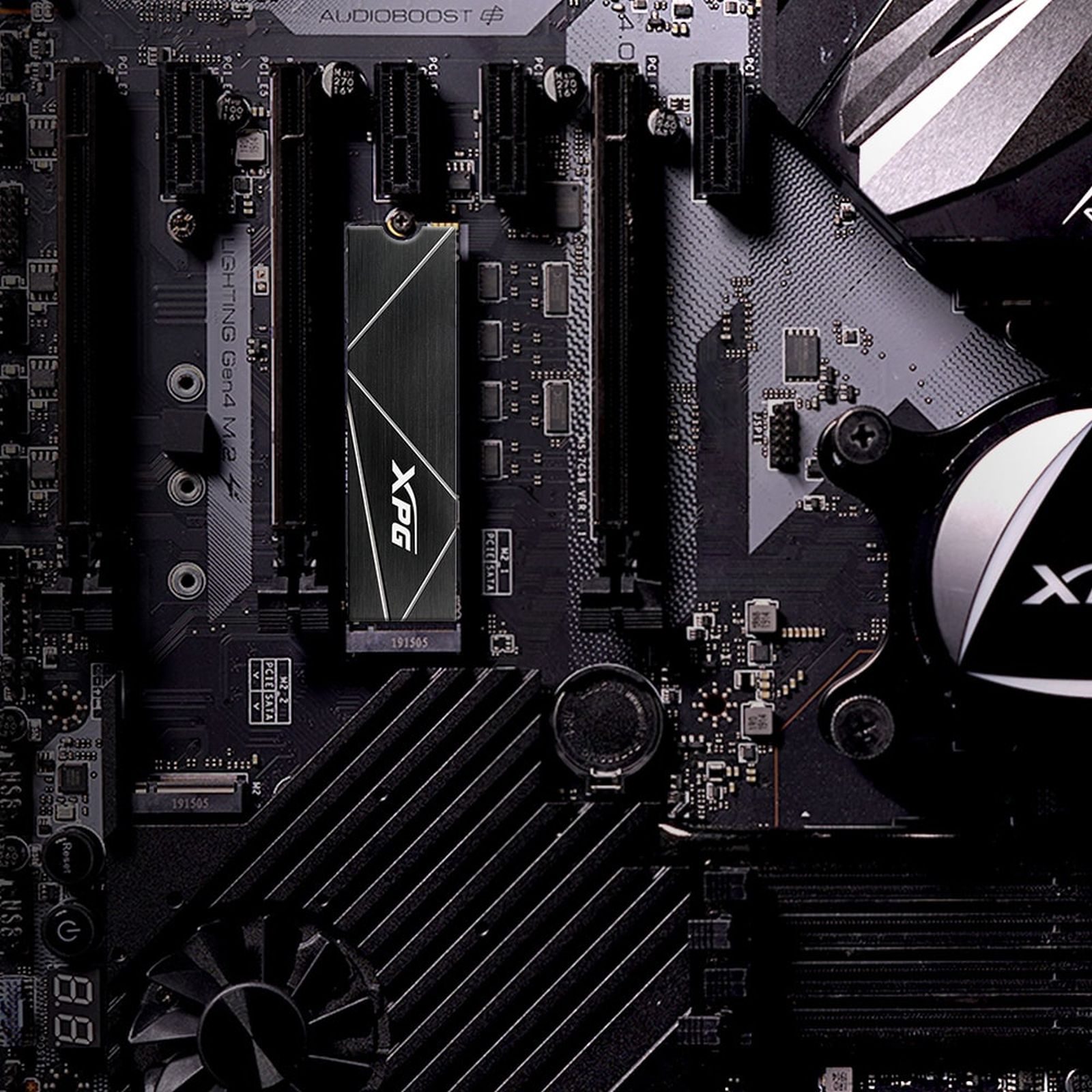 SSD XPG nero installato su una scheda madre nera. Accenti argentati, primo piano.