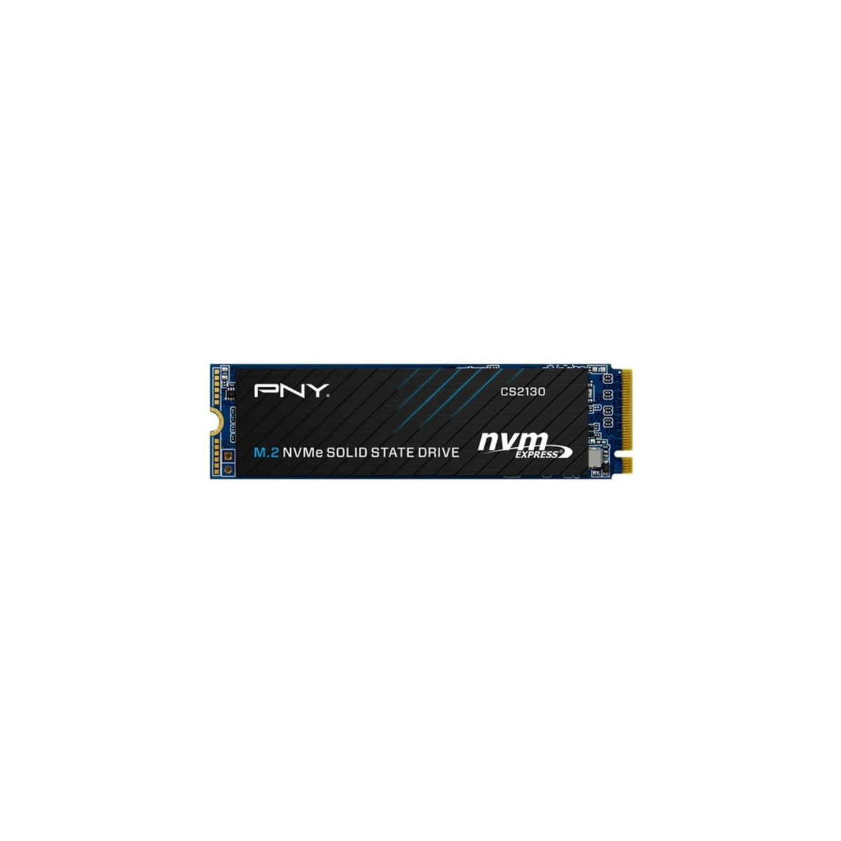 Un'unità a stato solido PNY M.2 NVMe. È rettangolare e presenta accenti blu e neri.