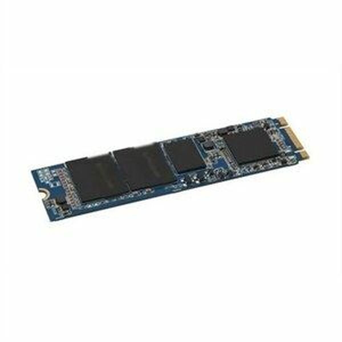 Scheda SSD con componenti blu e neri, con connettori dorati. Sfondo bianco.