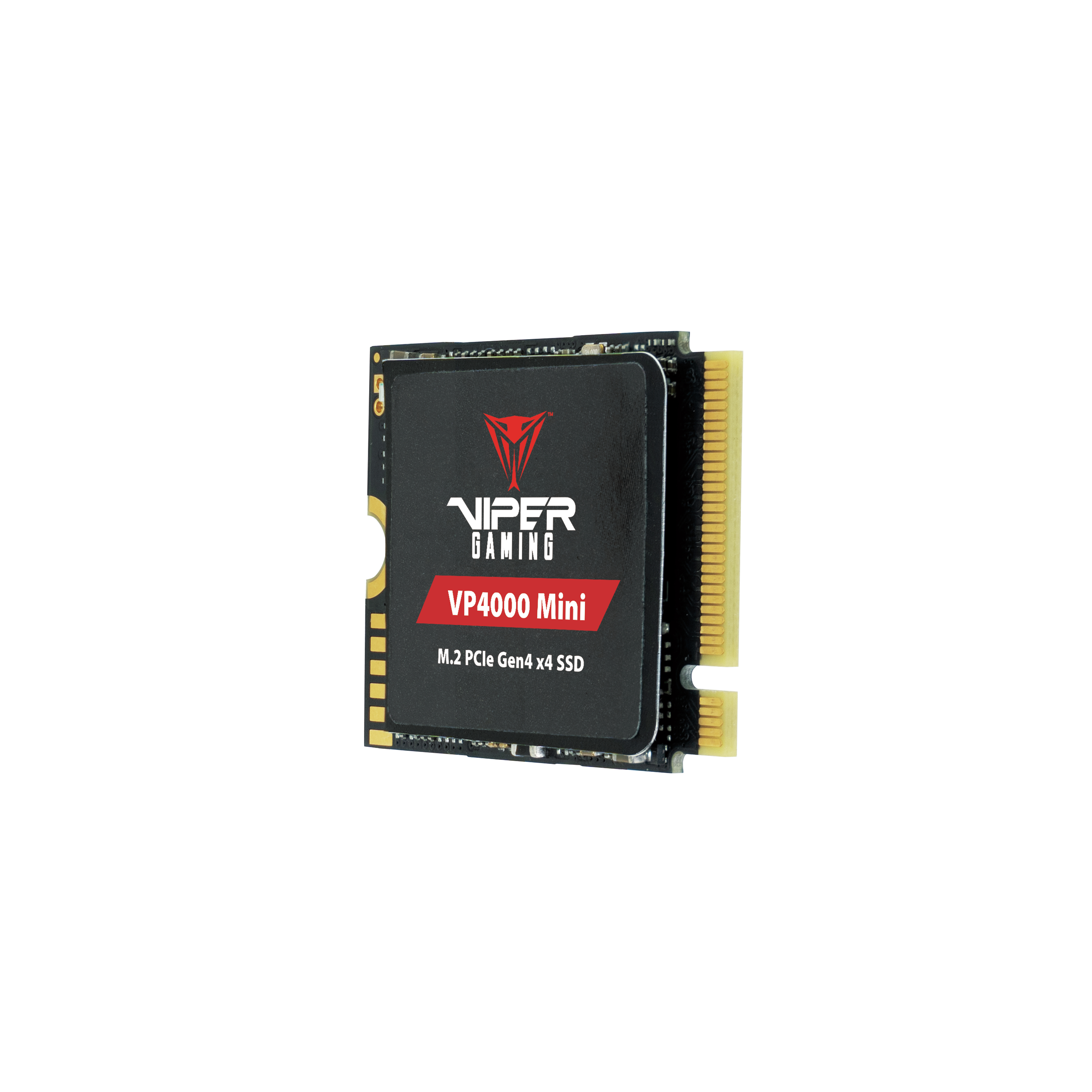 SSD nero Viper Gaming VP4000 Mini. Connettore dorato, testo bianco. Sfondo bianco.