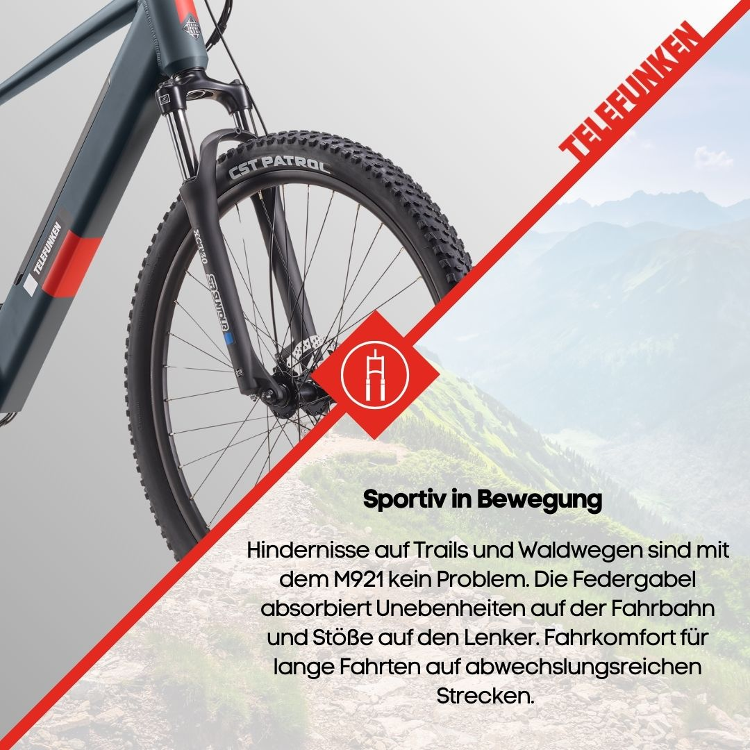 Fahrradrad mit Bergkulisse, rotes Telefunken-Logo. Trail-Szene. Zeigt Gabel- und Reifendetails.