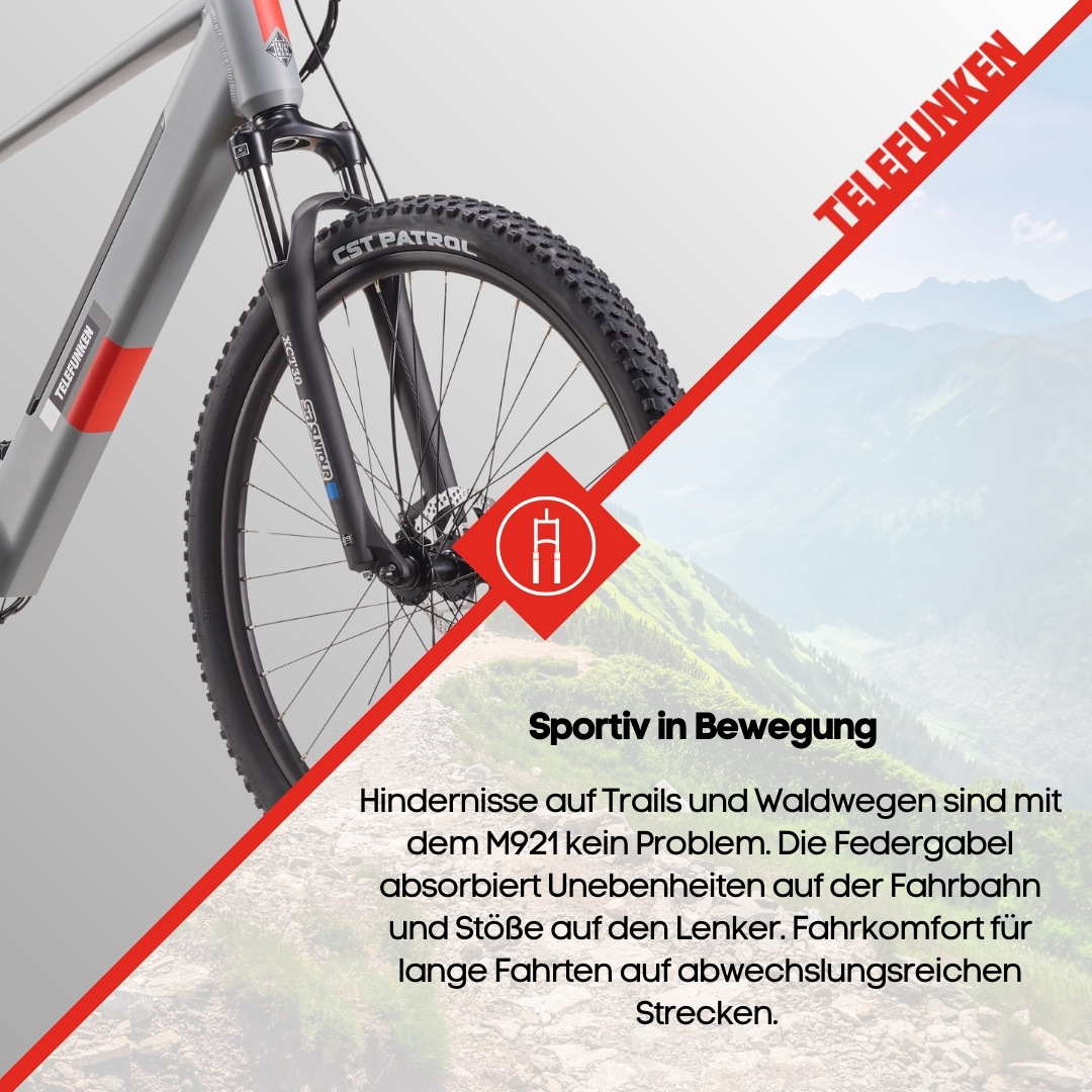 Fahrradrad mit Bergkulisse, rotes Telefunken-Logo. Trail-Szene. Zeigt Gabel- und Reifendetails.