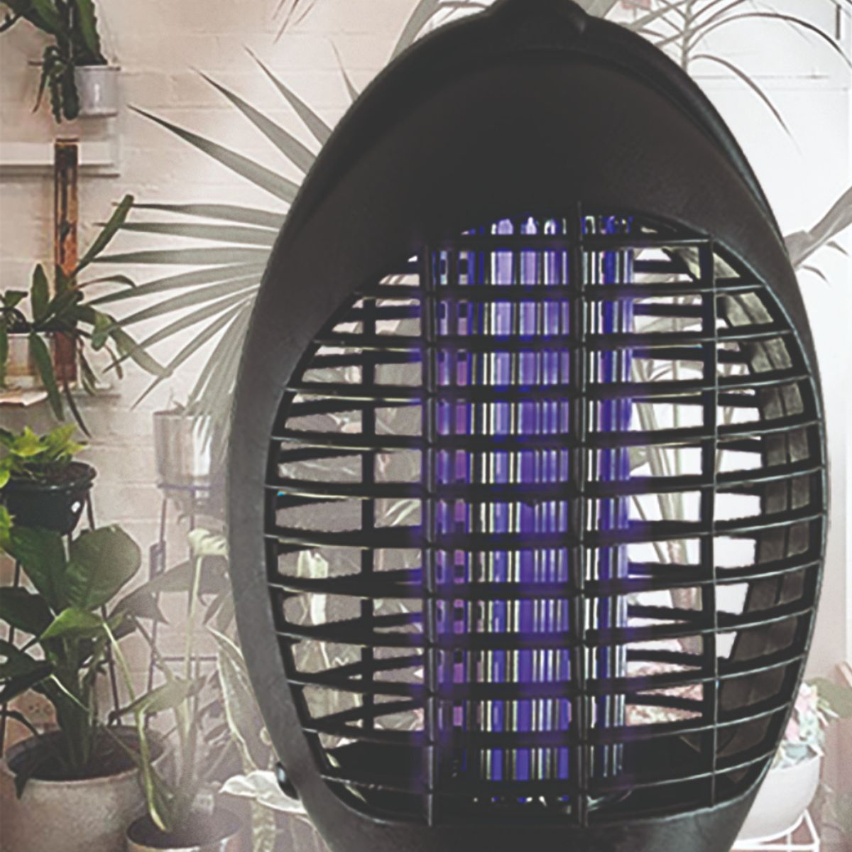 Mata insectos negro con jaula de metal, iluminado por una luz púrpura, con plantas en el fondo.