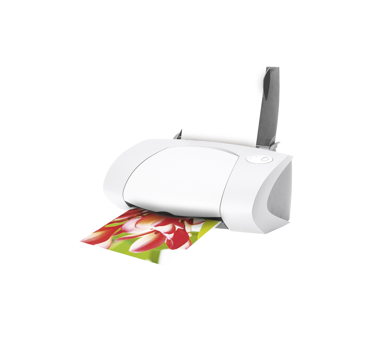 Biała drukarka drukująca obraz kwiatu na białym tle.