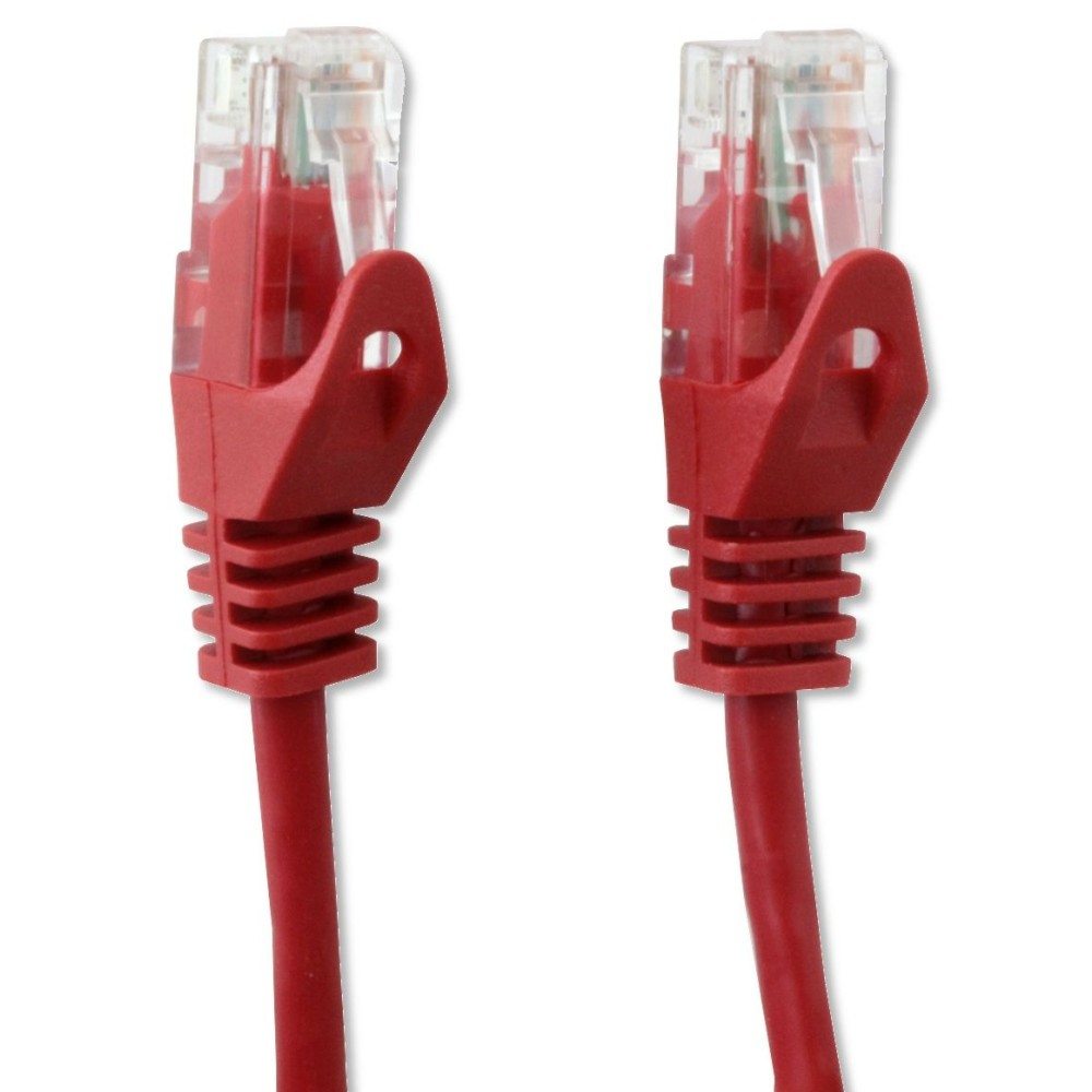 Due cavi di rete RJ45 rossi, connettori in alto. Sfondo bianco.