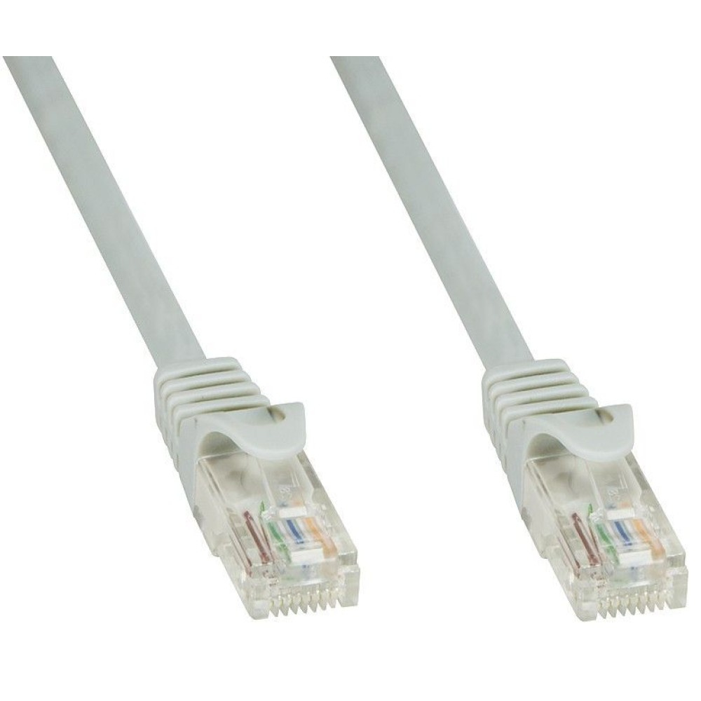 Due cavi Ethernet grigi con connettori. Sfondo bianco.