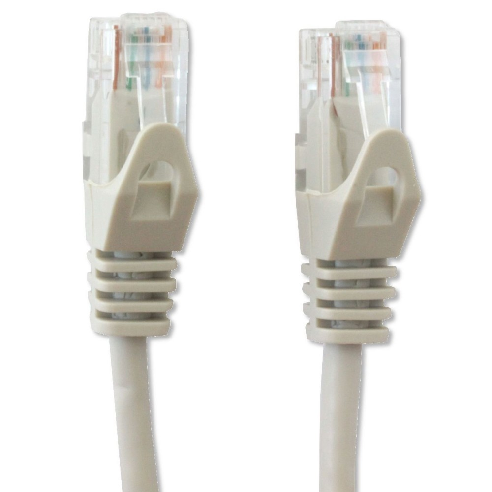 Due cavi di rete RJ45 grigi con connettori. Sfondo bianco.