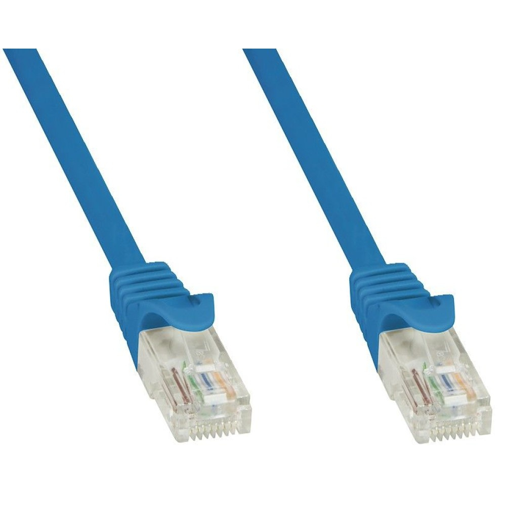 Due cavi Ethernet blu con connettori. I connettori sono trasparenti.