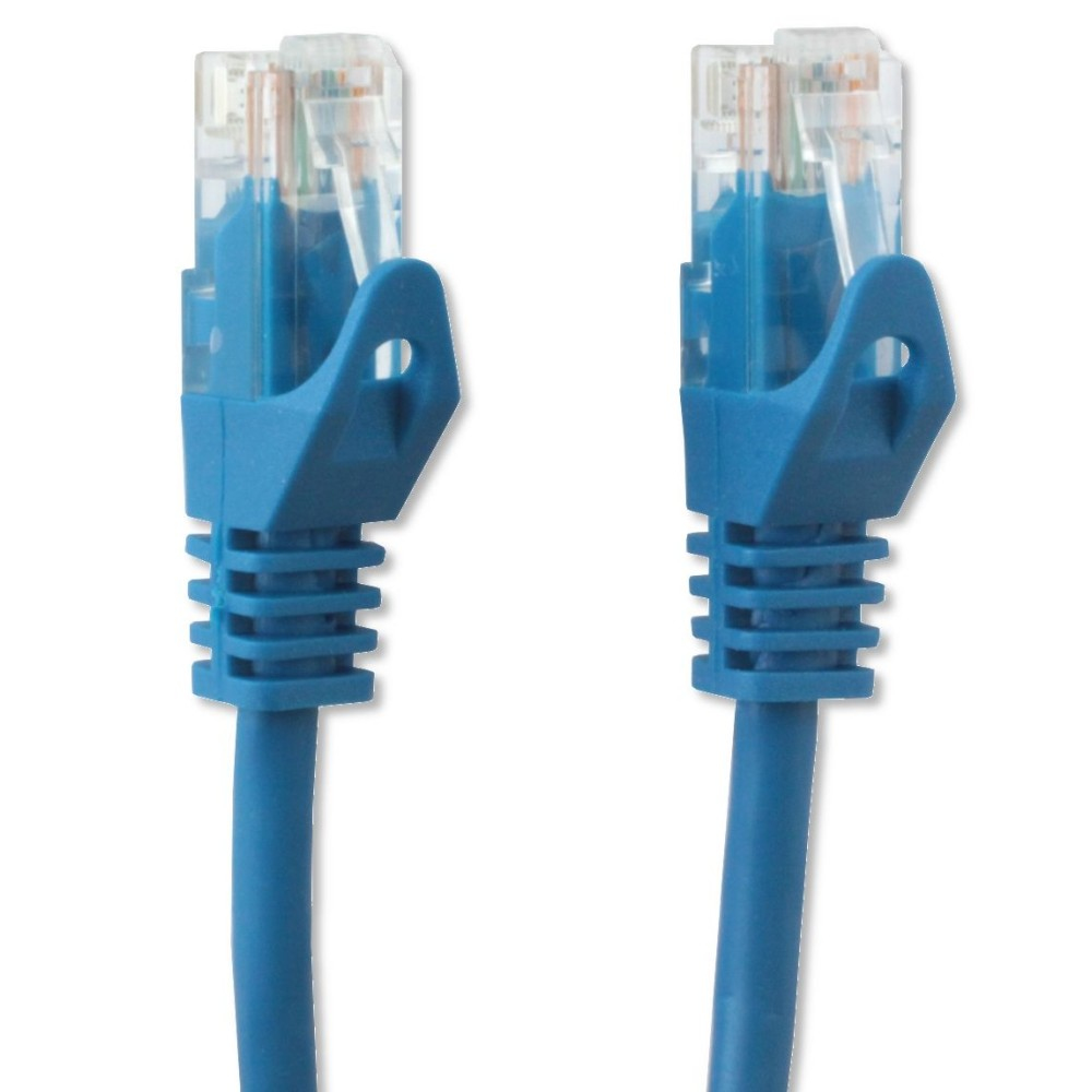 Due cavi Ethernet blu con connettori. I connettori sono blu.