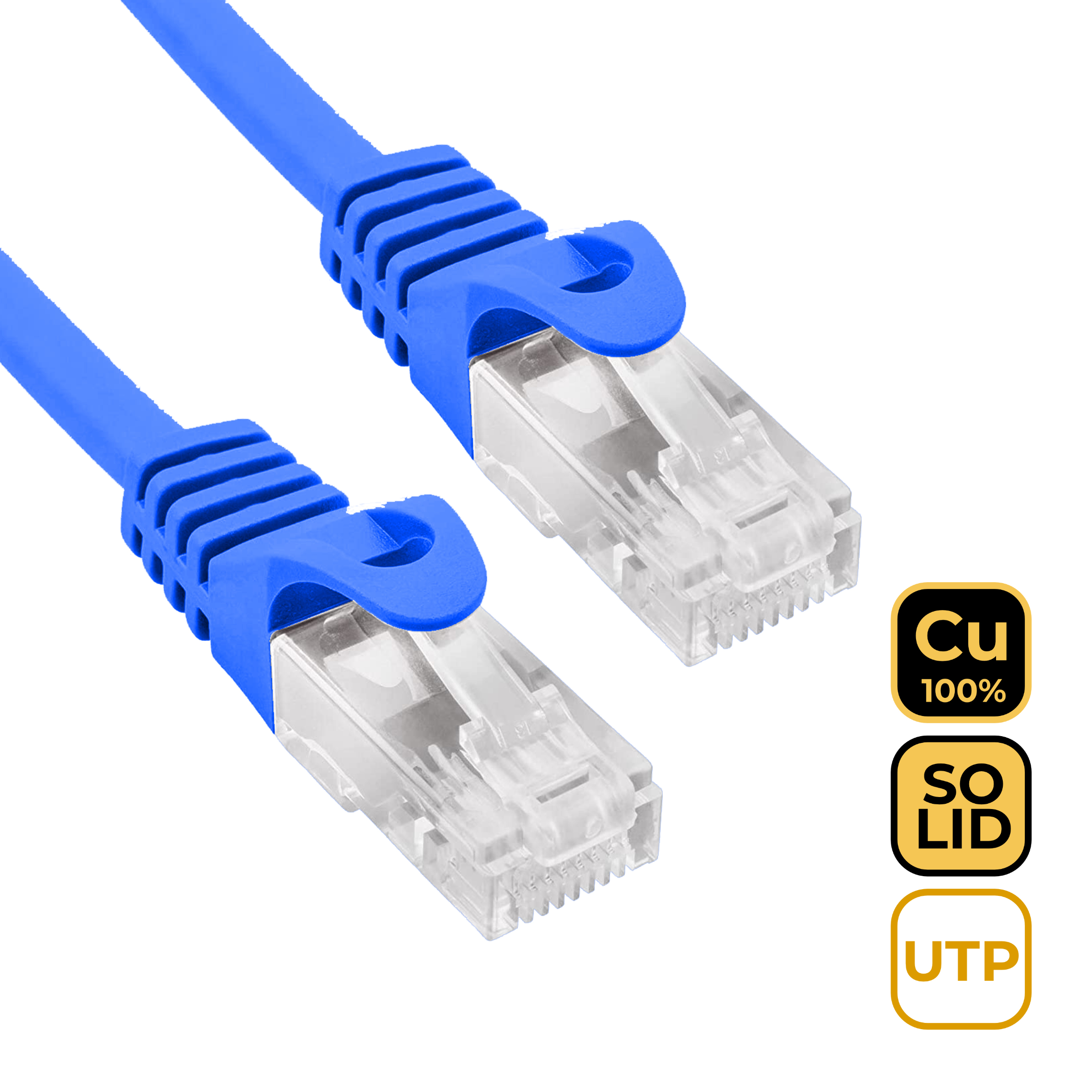 Due cavi ethernet blu con connettori. I connettori sono trasparenti con fermi blu. Sfondo bianco.