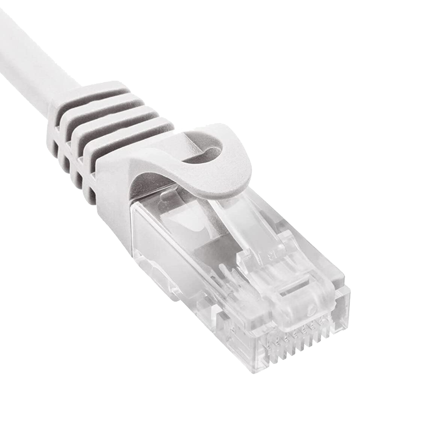 Primo piano di un connettore per cavo Ethernet. Sfondo bianco.