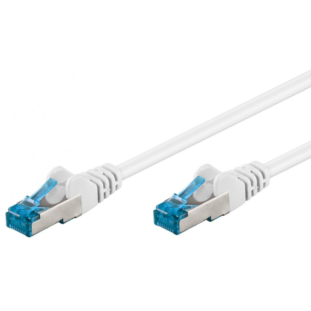 Due cavi di rete bianchi con connettori blu, su sfondo bianco.