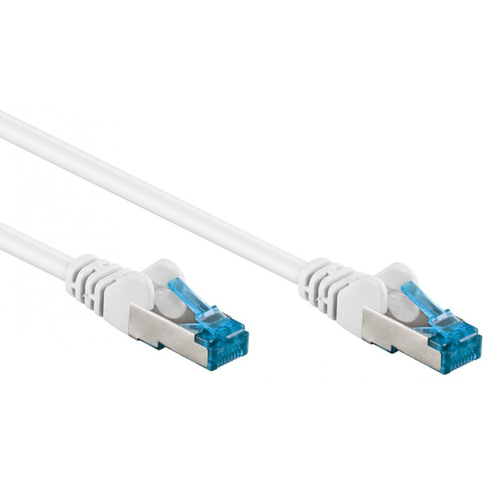 Due cavi di rete bianchi con connettori blu, su sfondo bianco.