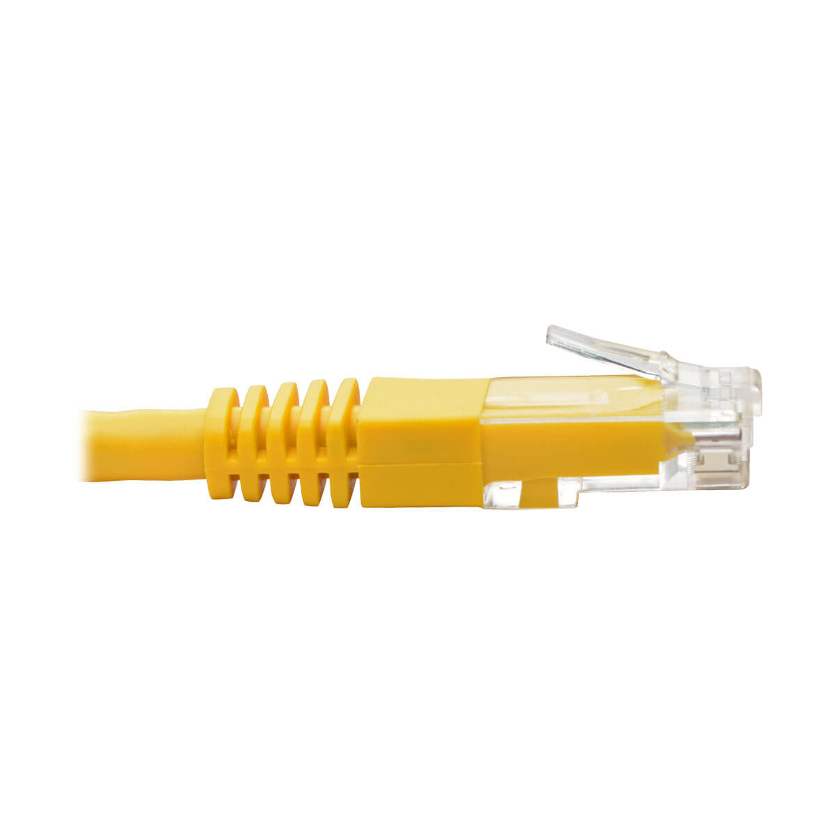 Cavo Ethernet giallo con connettore giallo. Sfondo bianco.