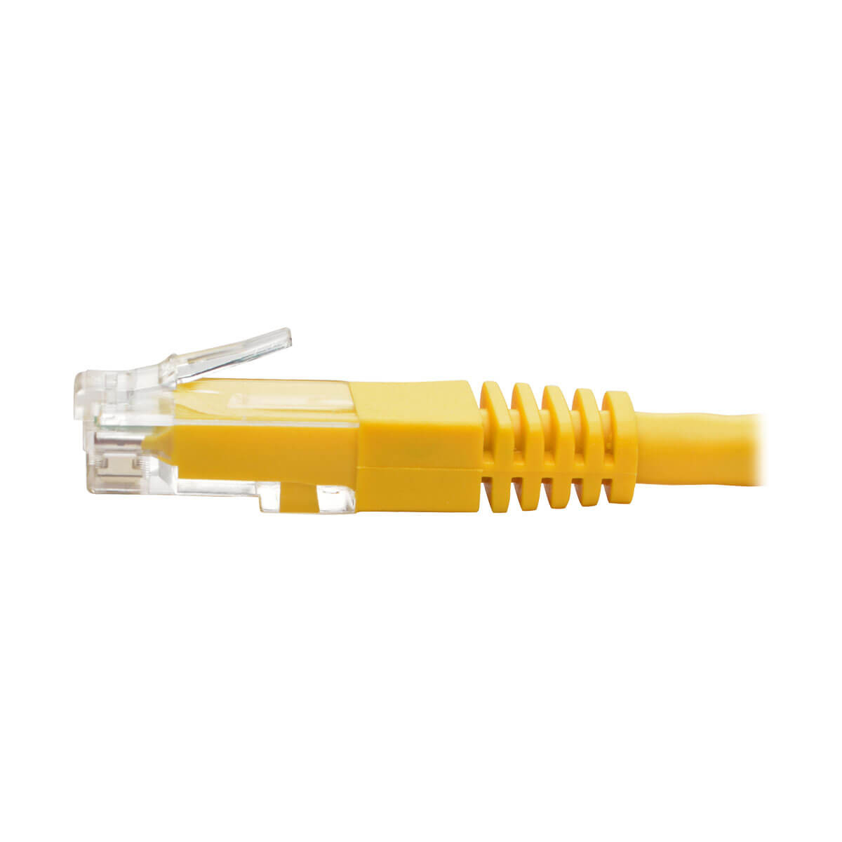 Cavo Ethernet giallo con connettore giallo. Sfondo bianco.