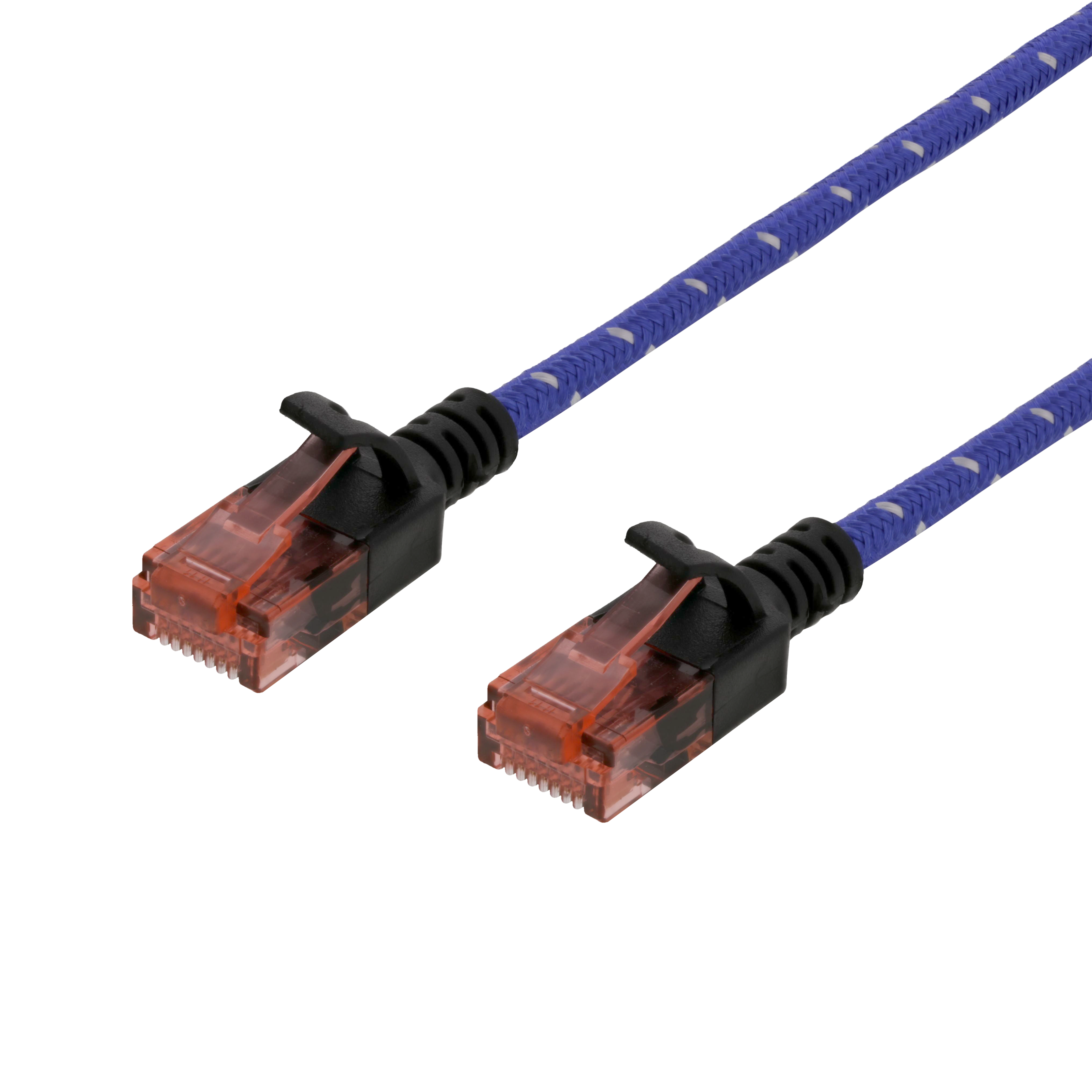 Due cavi ethernet, blu con motivo bianco, connettori rossi, su sfondo nero.