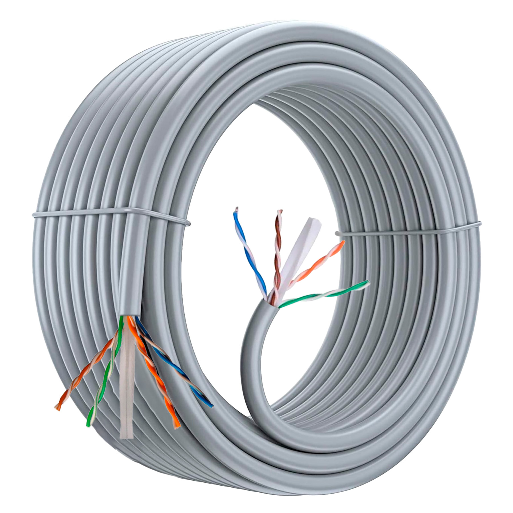 Cavo Ethernet grigio arrotolato con fili visibili, su sfondo bianco.