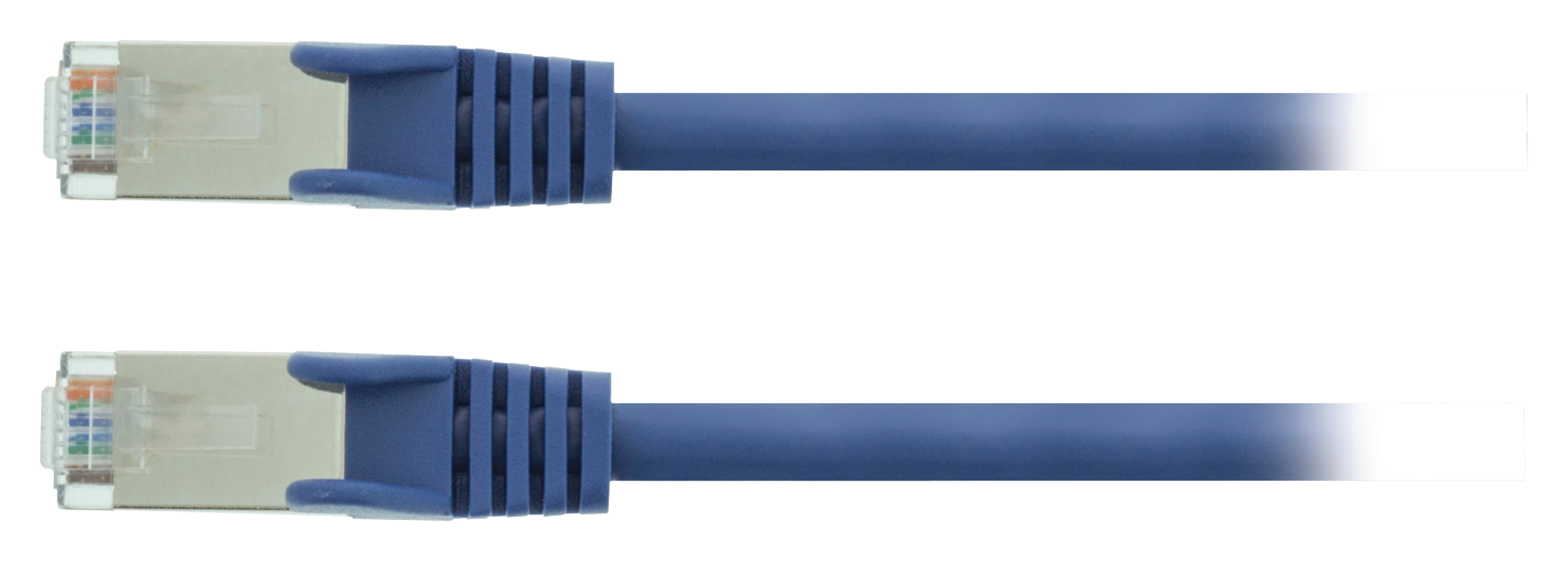 Due cavi di rete blu con connettori RJ45, su sfondo bianco.