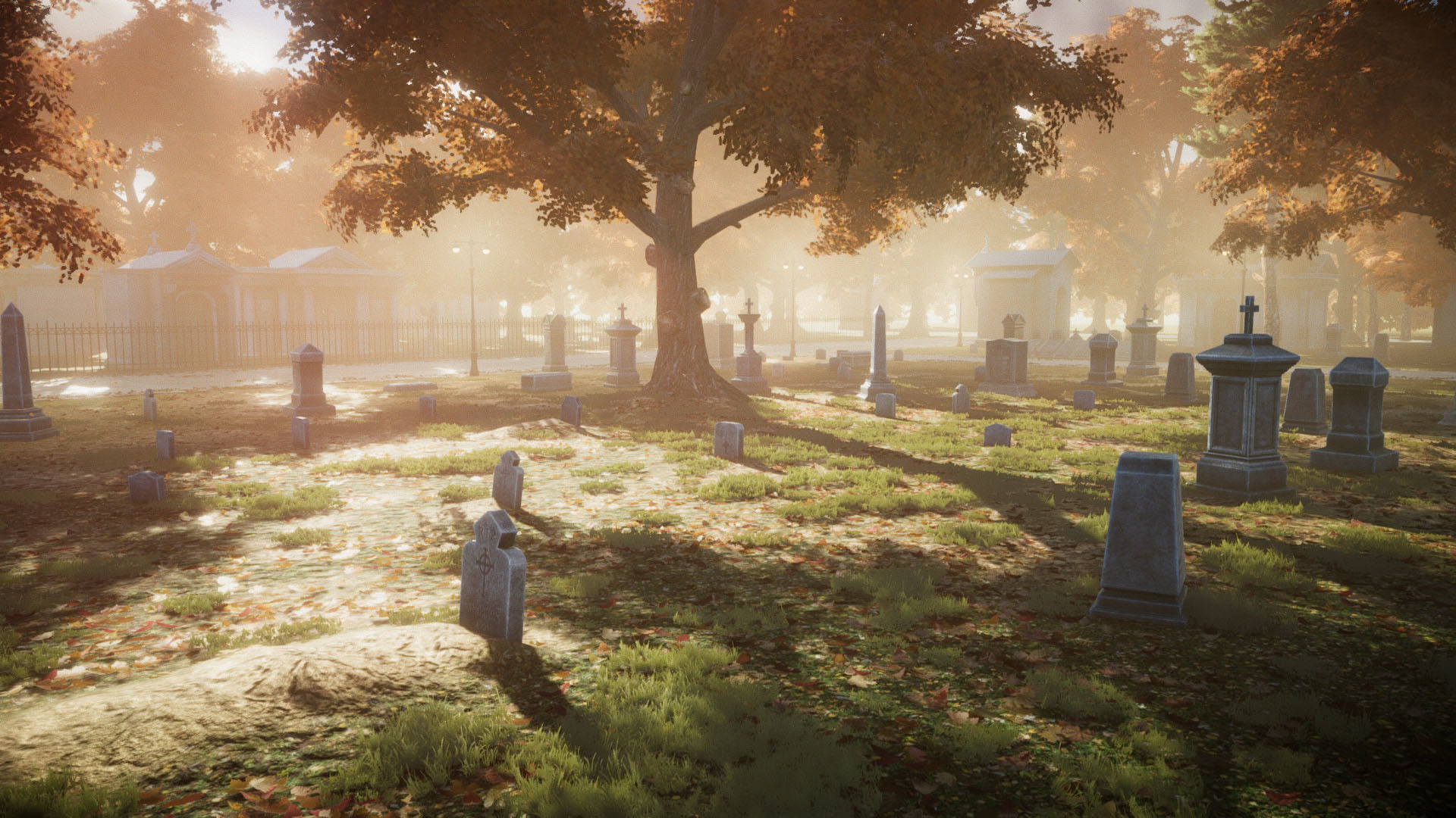 Cmentarz z nagrobkami i dużym drzewem w tle.